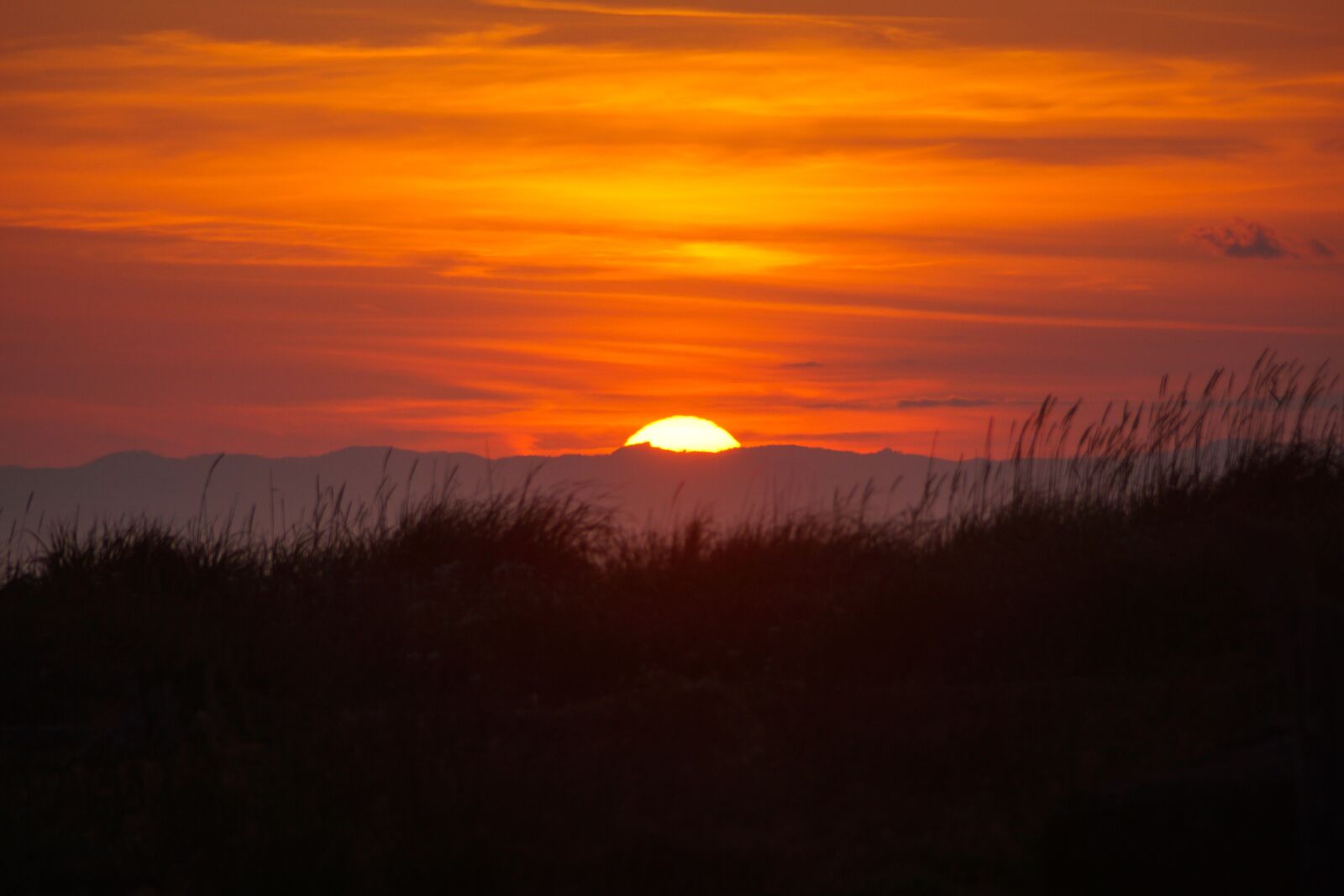 Sony DT 18-250mm F3.5-6.3 sample photo. Sunset, dungeness spit, beach photography