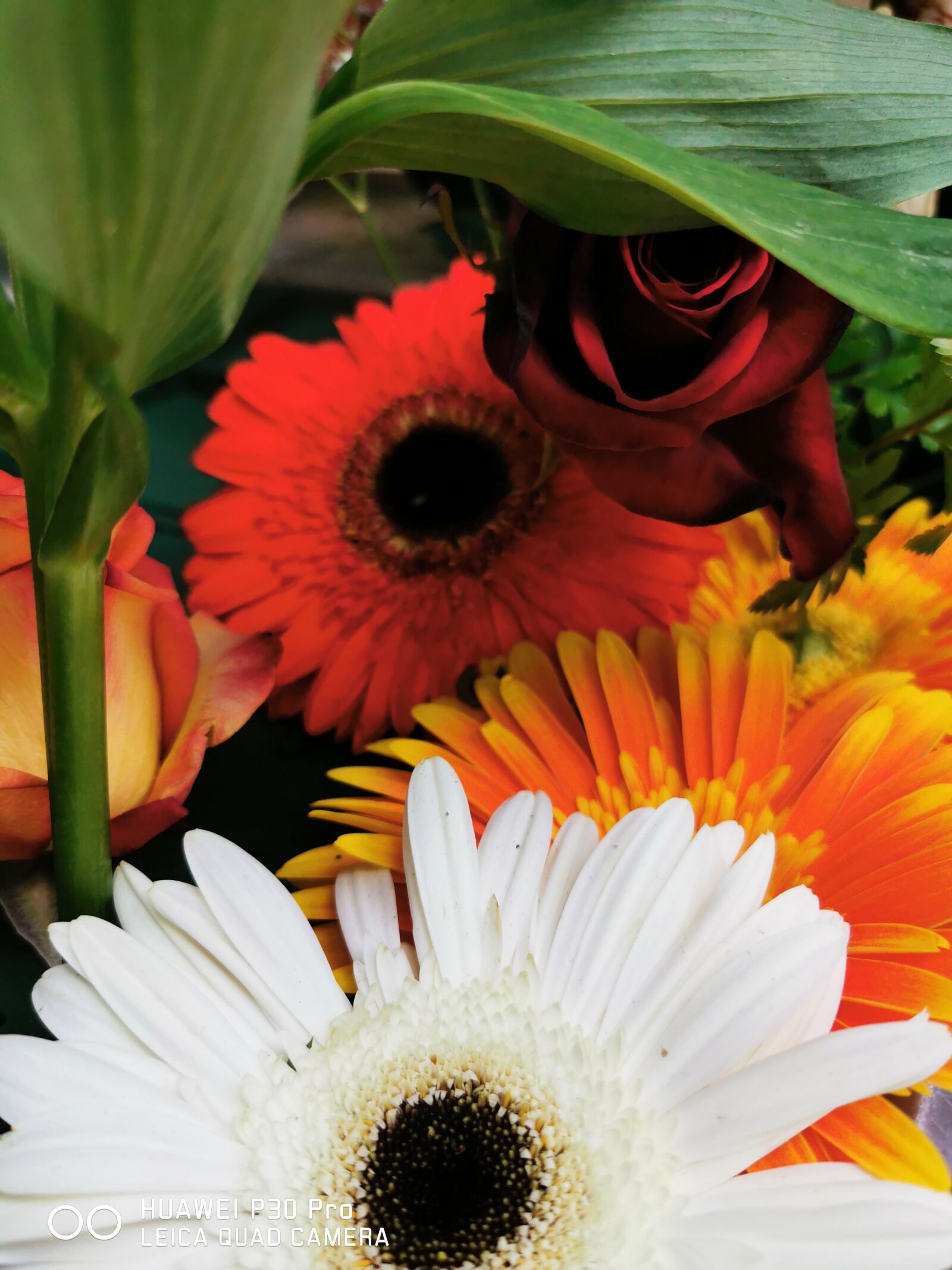 HUAWEI P30 Pro sample photo. Bouquet, fleurs, petal photography