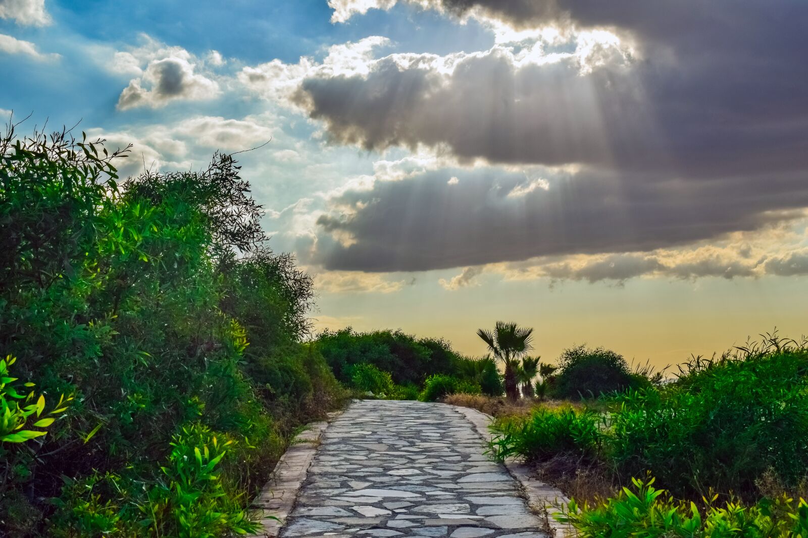 Nikon D3300 sample photo. Path, stone, nature photography