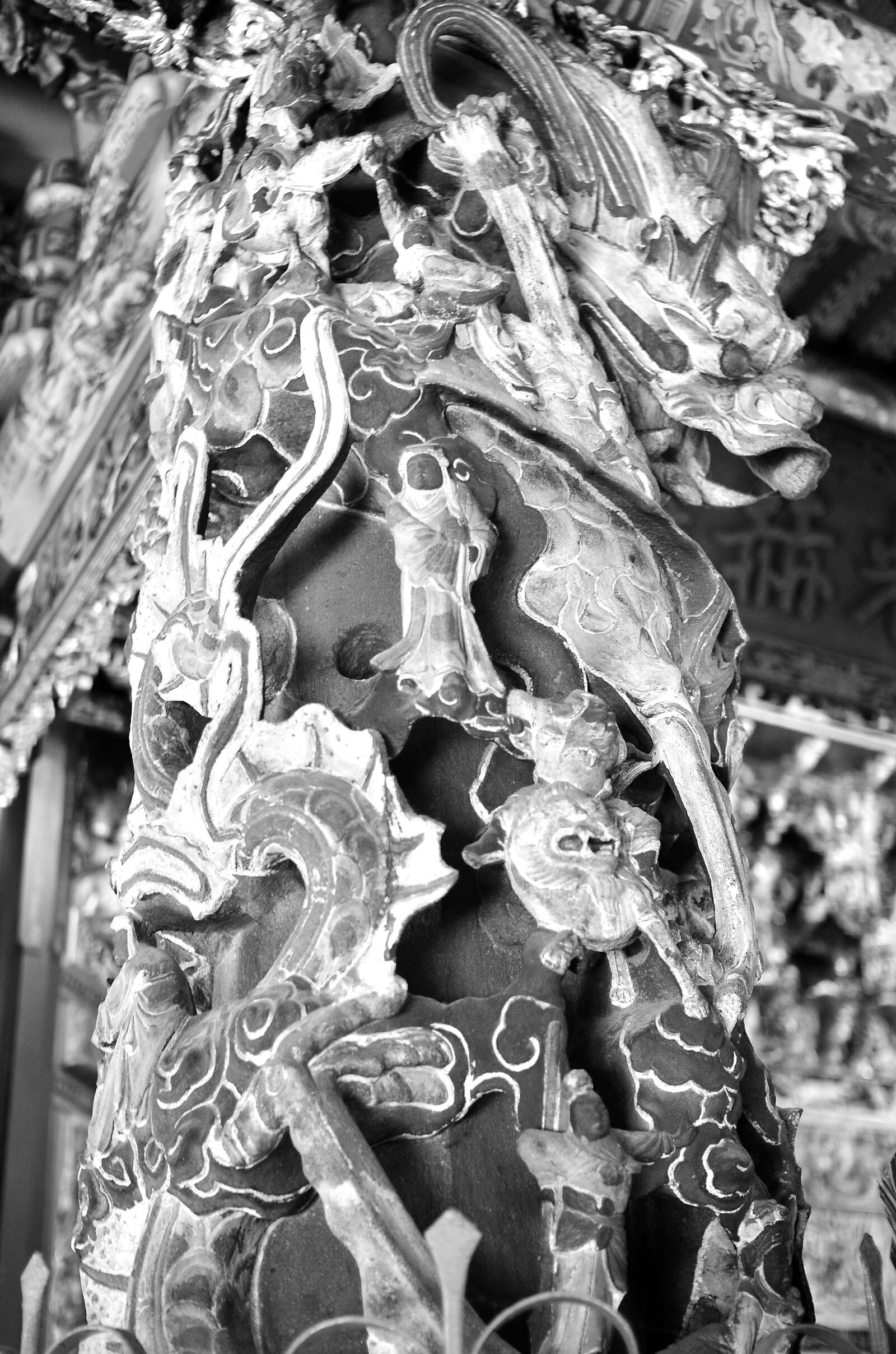 Nikon D7000 sample photo