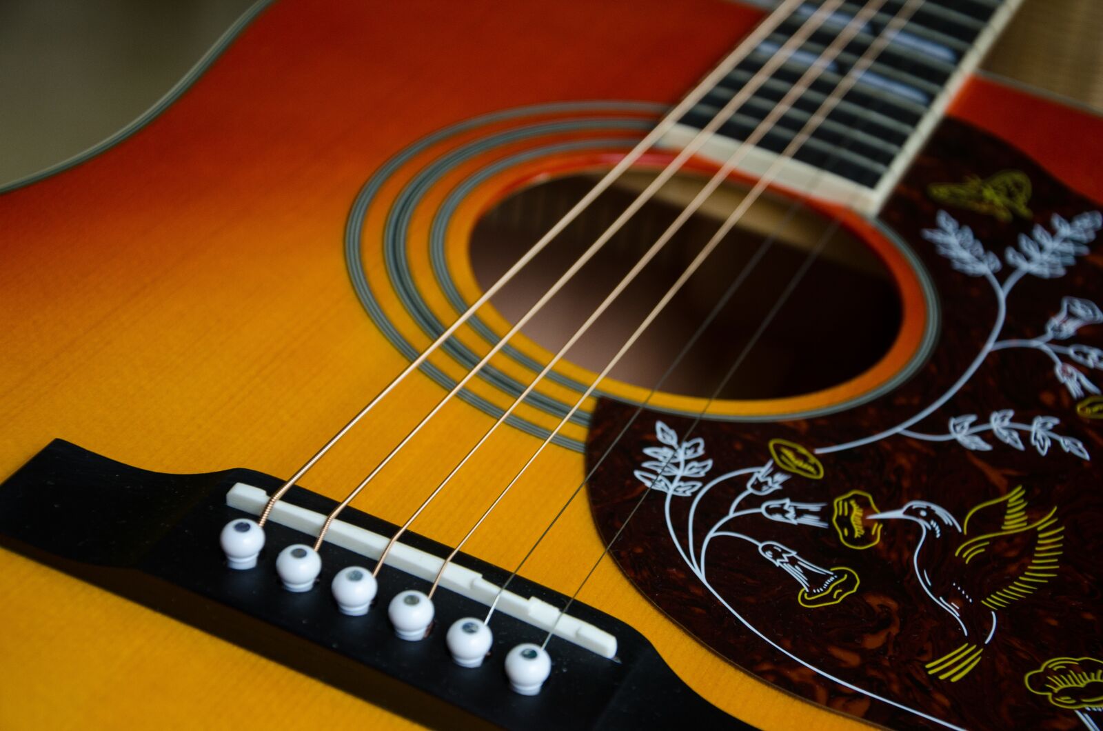Nikon D5100 sample photo. Guitar, music, band bands photography