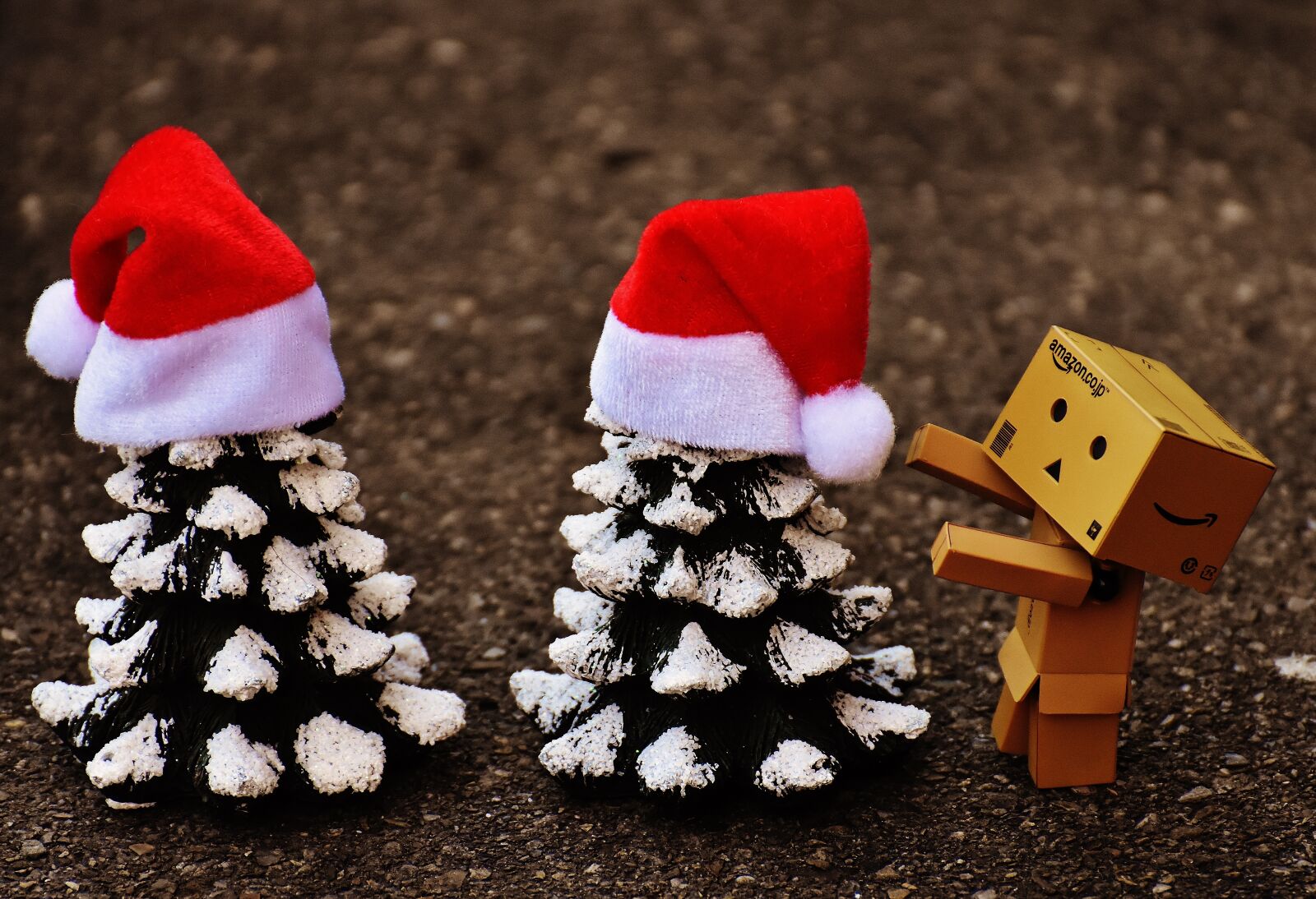 Nikon D7200 sample photo. Danbo, christmas, figure photography