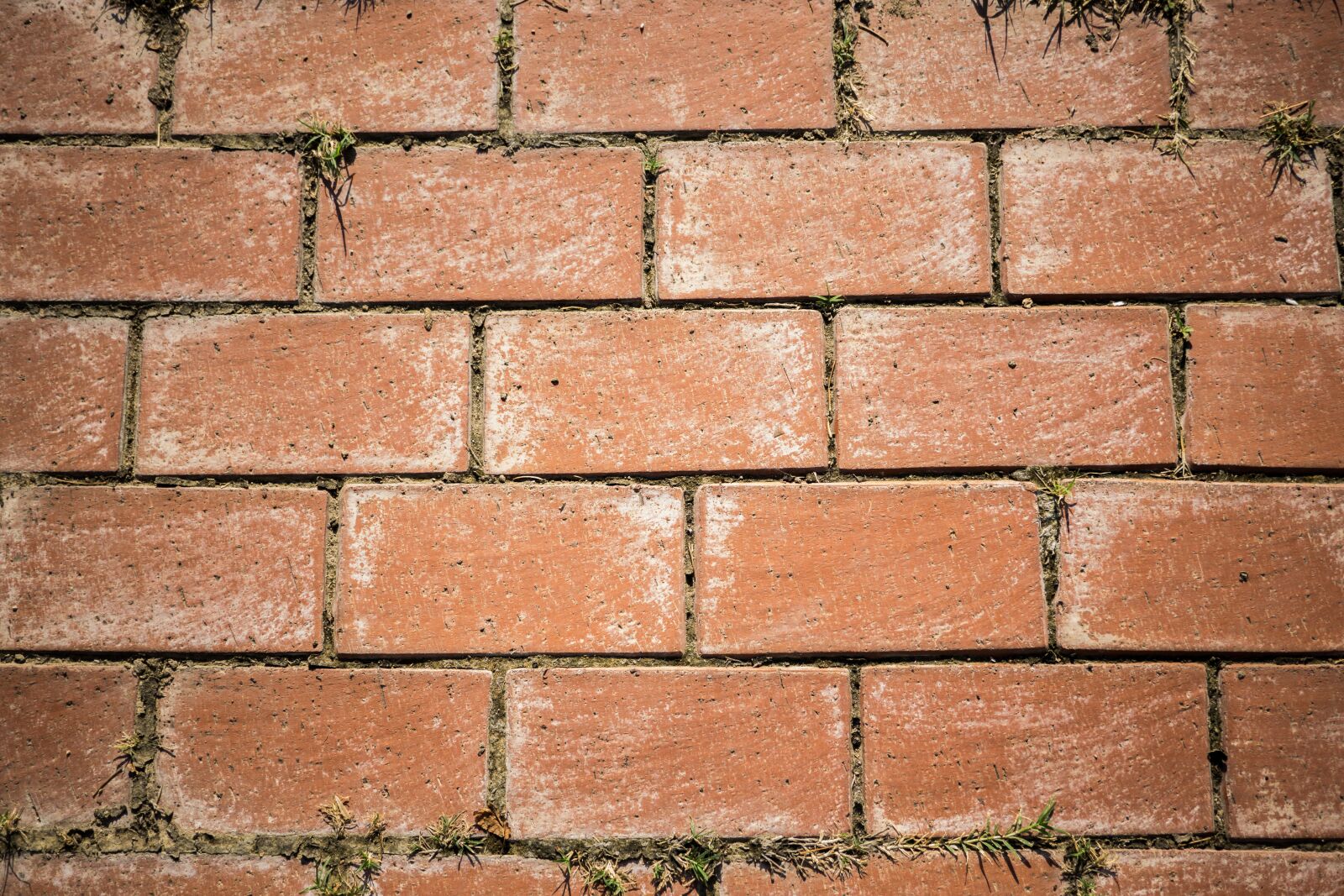 Sony E 30mm F3.5 Macro sample photo. Brick, background, wall photography