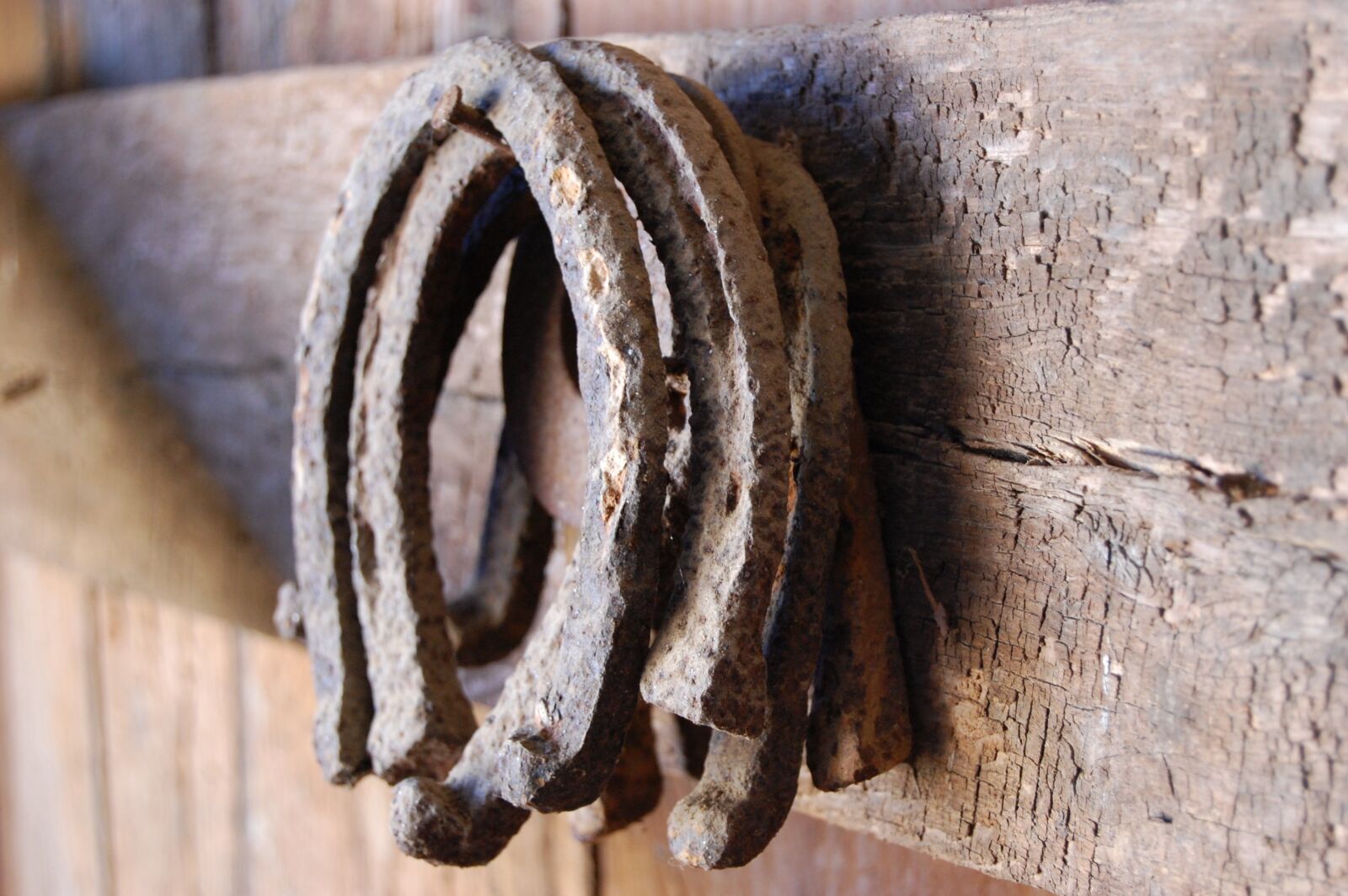 Nikon D40 sample photo. Horseshoes, barn, anti photography
