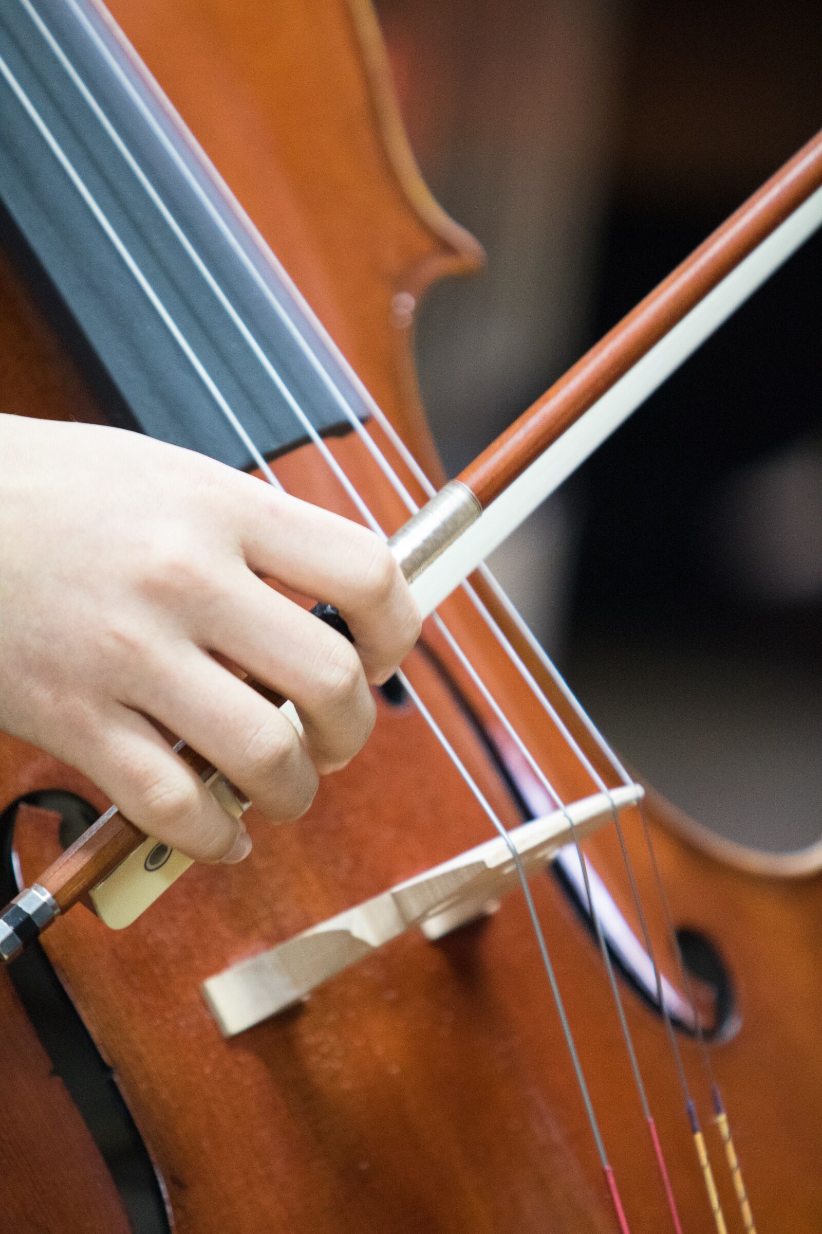 Canon EOS 750D (EOS Rebel T6i / EOS Kiss X8i) + Canon EF 70-200mm F2.8L USM sample photo. Violin, wood, classic photography