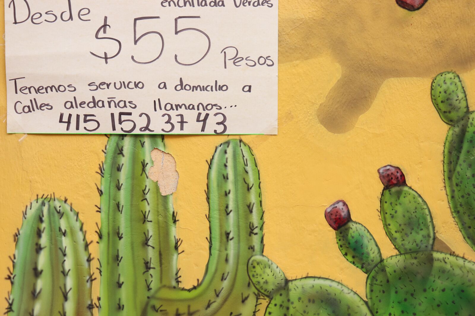 Canon EOS 200D (EOS Rebel SL2 / EOS Kiss X9) sample photo. Cactus, sign, mexico photography