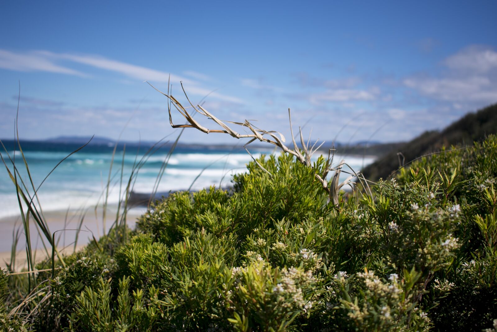 Nikon D3400 sample photo. Water, nature, sea photography