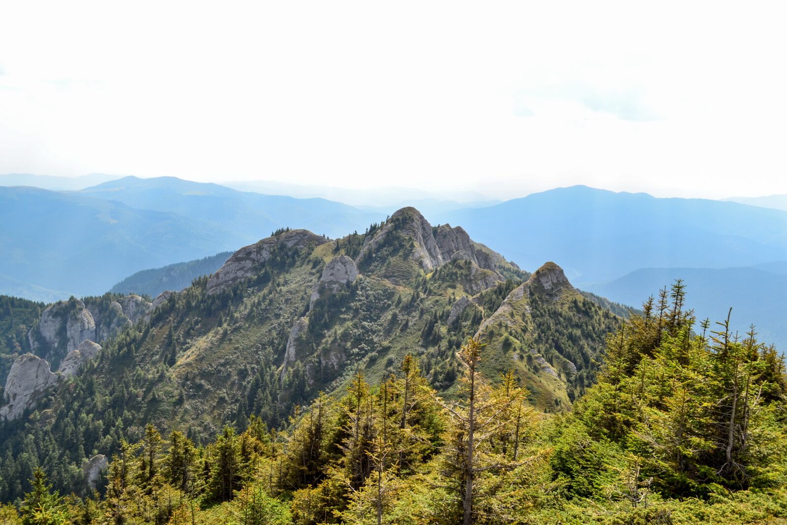 Nikon D3100 sample photo. Mountain, forest, landscape photography