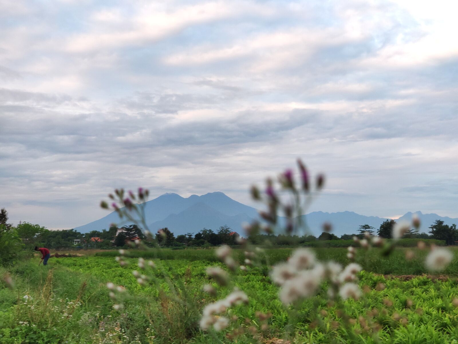 Xiaomi MI 9 sample photo. Mount, kloposepuluh, sukodono photography