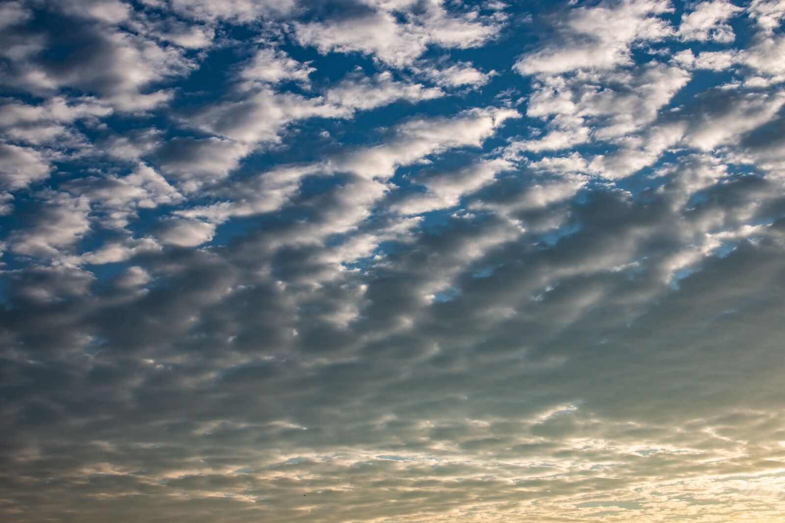 Canon EOS 70D sample photo. Clouds, white, fluffy photography