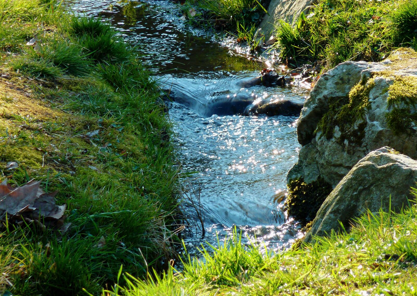 Panasonic DMC-TZ7 sample photo. Bach, creek, brook photography