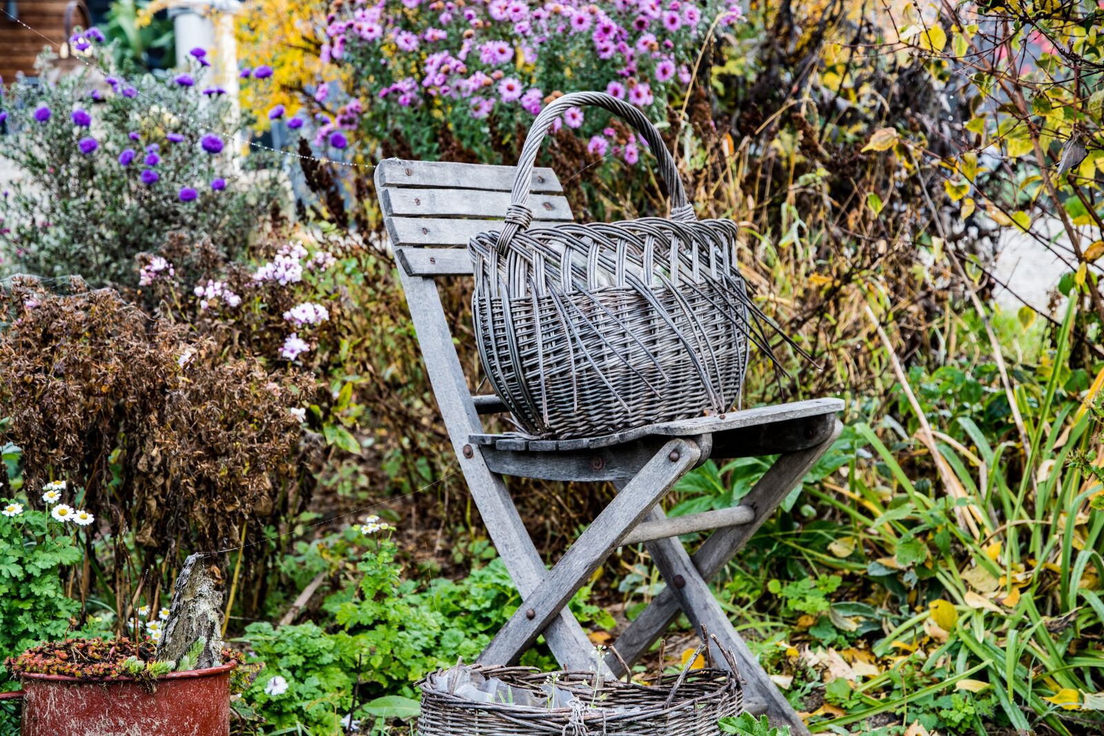 Nikon D500 sample photo. Folding chair, chair, flowers photography