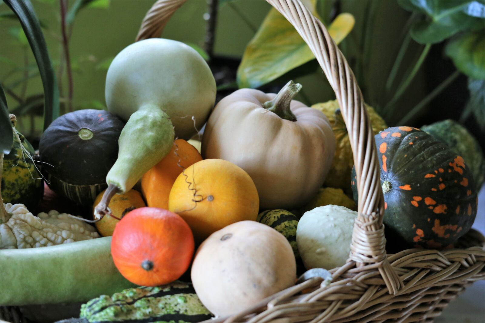 Canon EOS 6D sample photo. Basket, pumpkins, autumn decoration photography