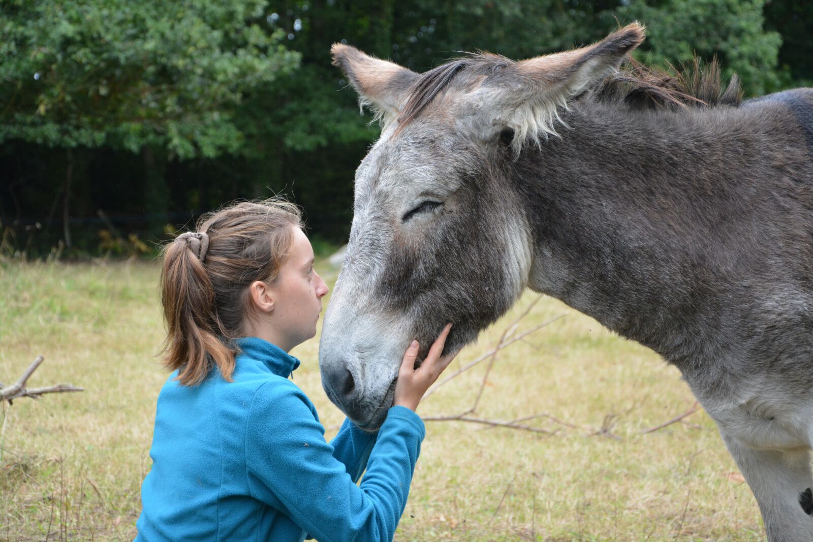 Nikon D5200 sample photo. Donkey, girl, young woman photography