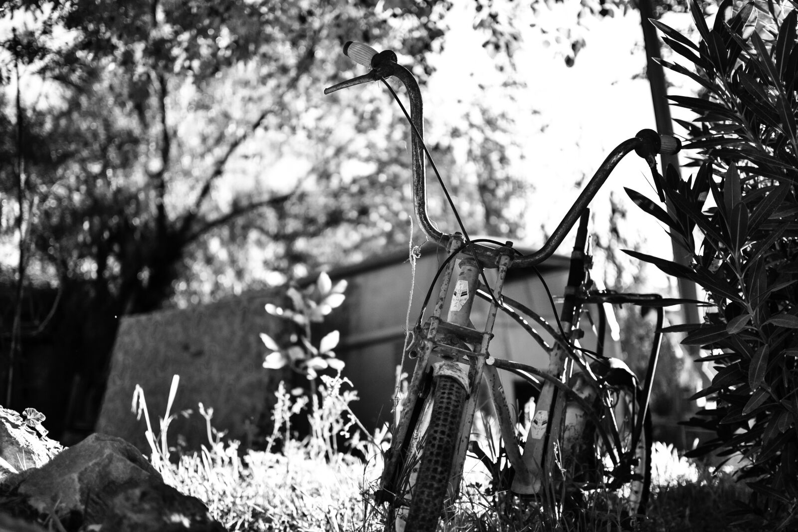 Nikon D3100 + Nikon AF-S DX Nikkor 35mm F1.8G sample photo. Bicycle, bike, black, and photography