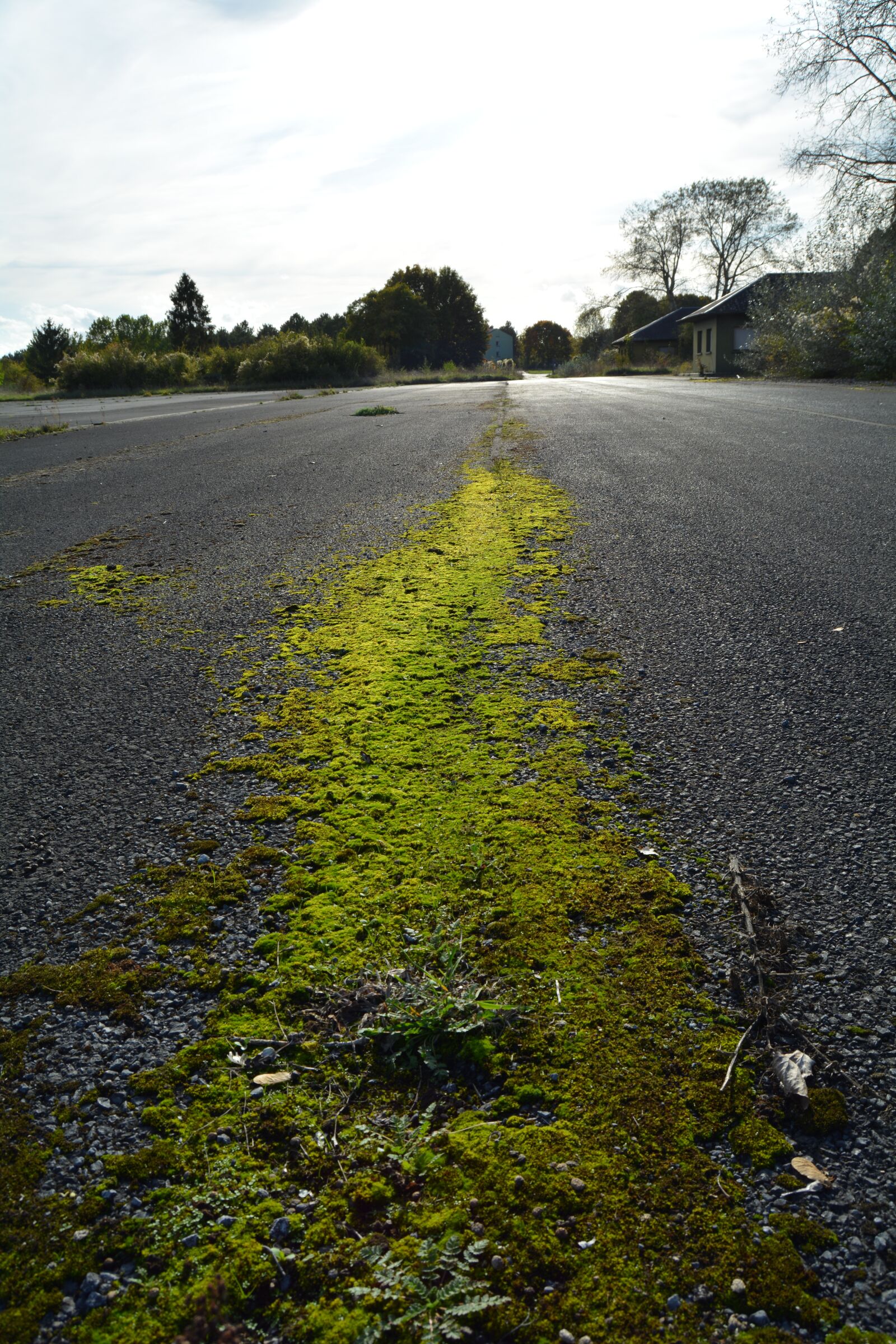 Nikon D5200 sample photo. Foam, nature, track photography