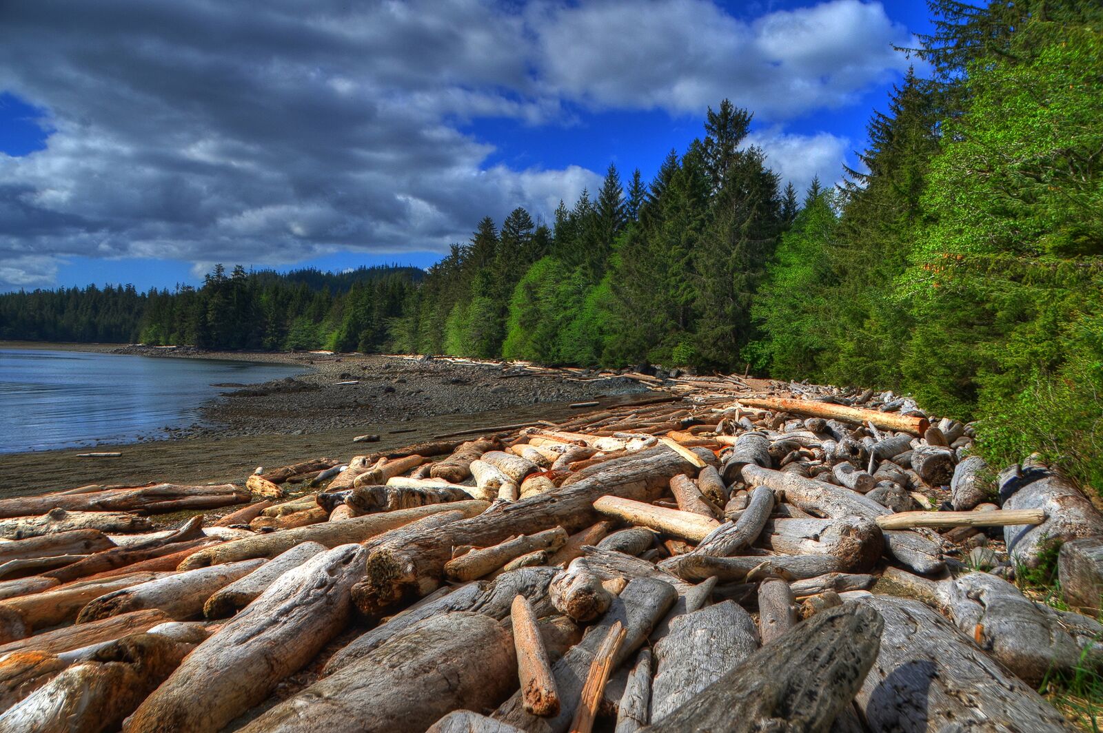 Nikon D7000 sample photo. Alaska, beach, ocean photography