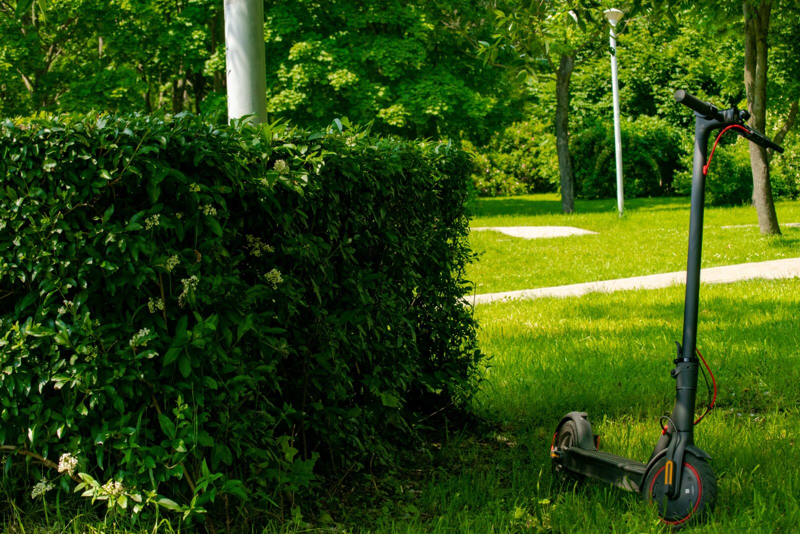 Nikon D5500 sample photo. Park, greens, scooter photography