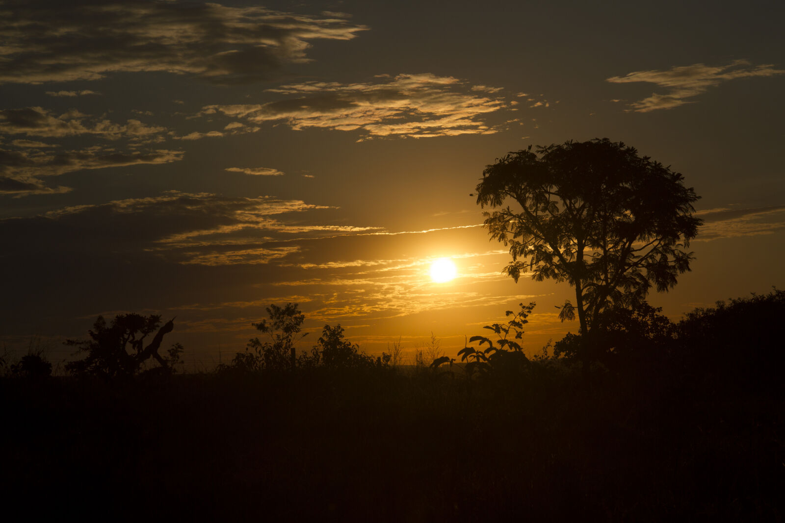 Canon EOS 7D sample photo. Brazil, nature, sunset photography