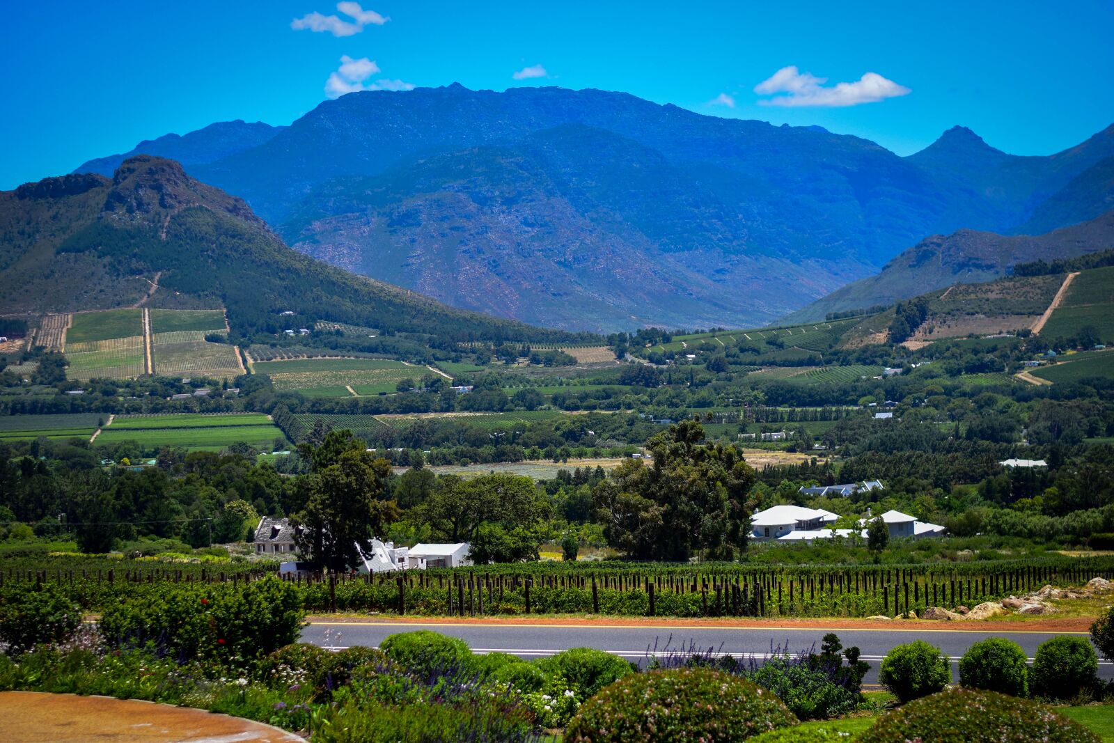Nikon D5500 sample photo. Vineyard, mountain, south africa photography