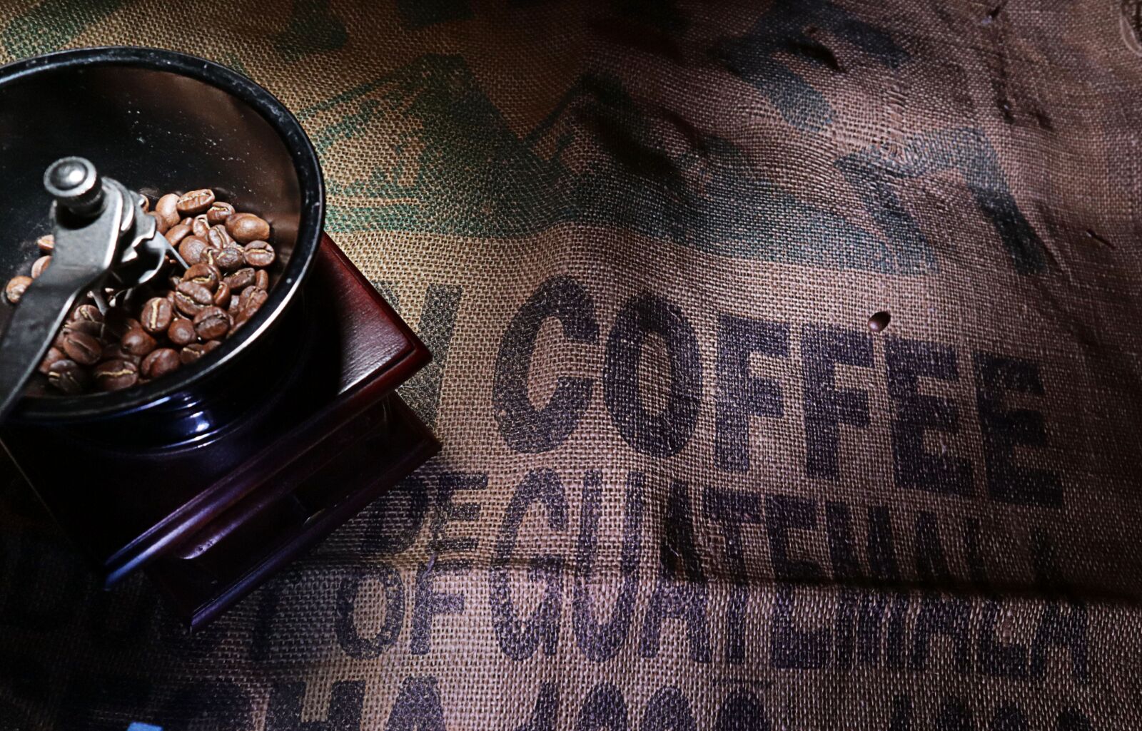 Canon EOS M50 (EOS Kiss M) sample photo. Coffee, grain, caffeine photography