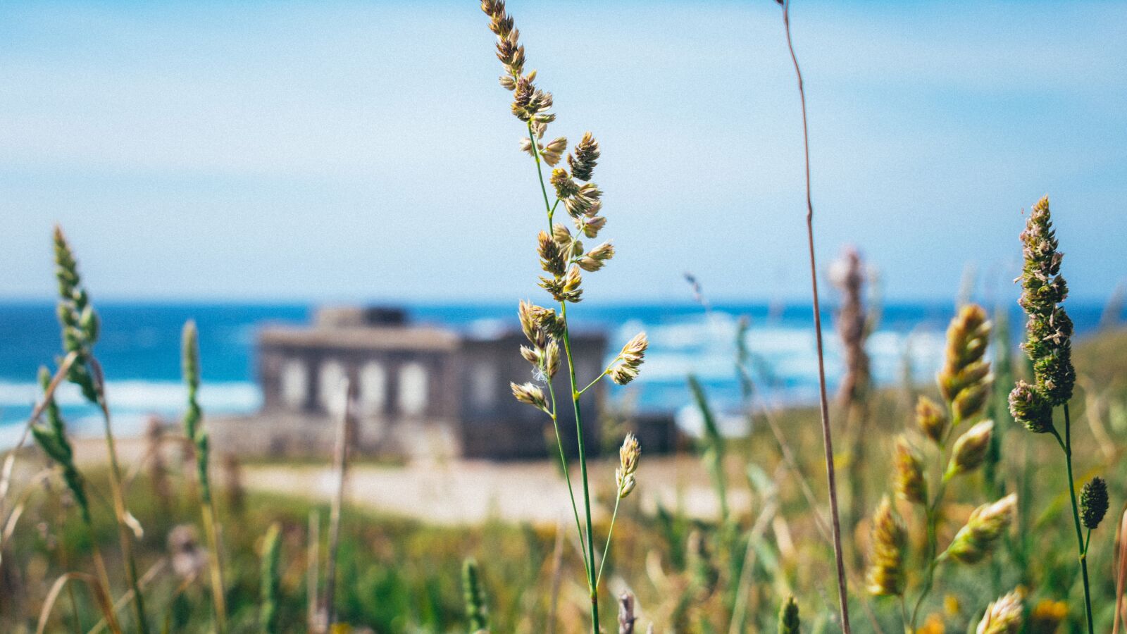 Nikon D3400 sample photo. Sea, nature, ocean photography