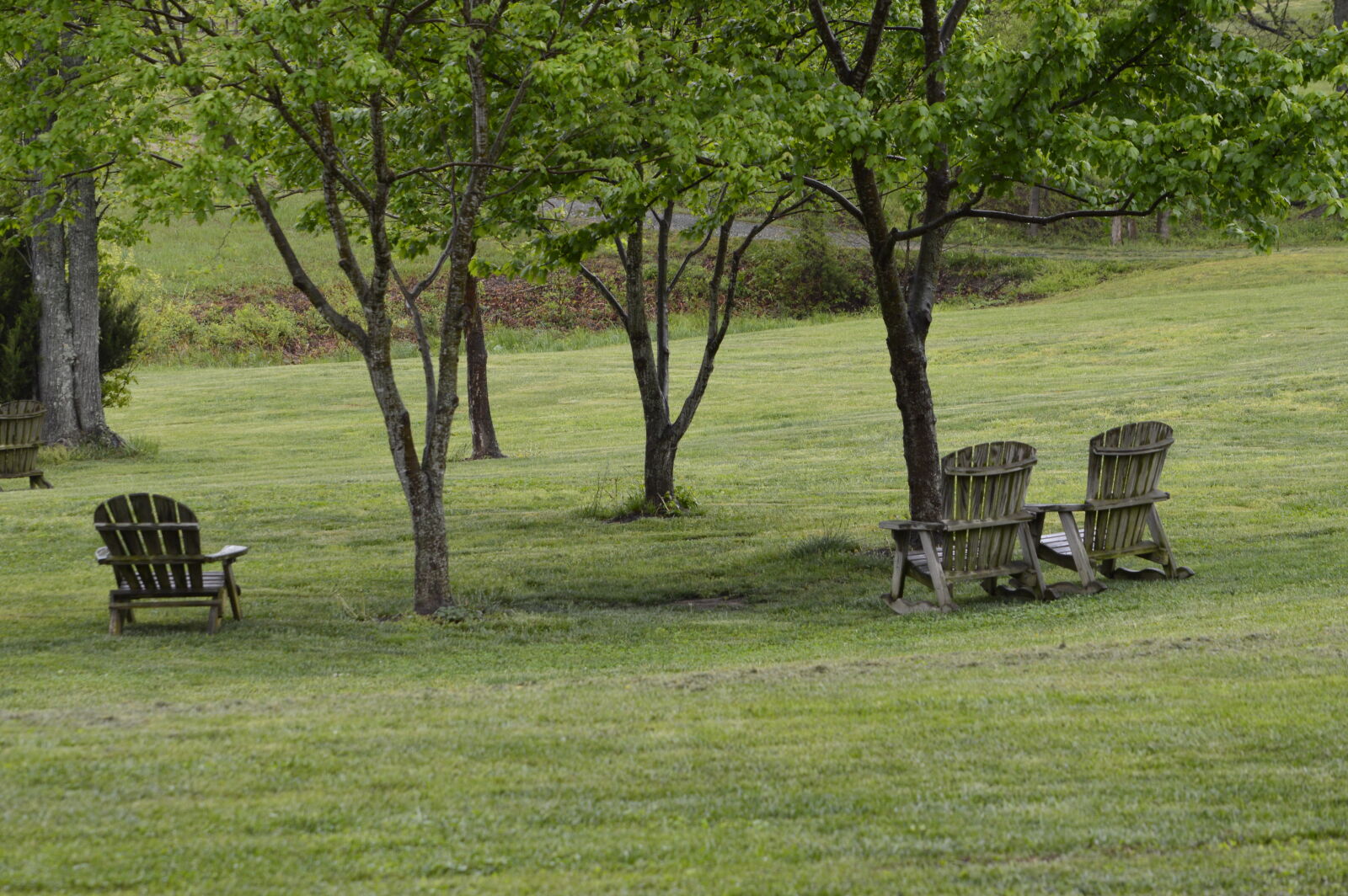 Nikon D3200 + Nikon AF-S DX Nikkor 55-300mm F4.5-5.6G ED VR sample photo. Branches, calm, chairs, close photography
