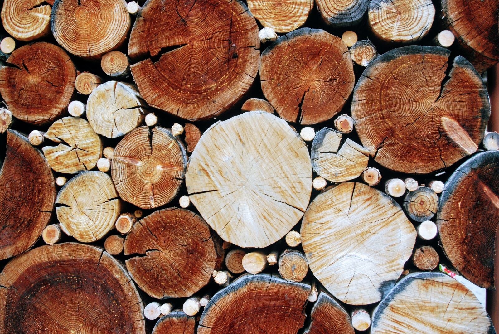 Nikon D60 sample photo. Wood, tribe, pattern photography