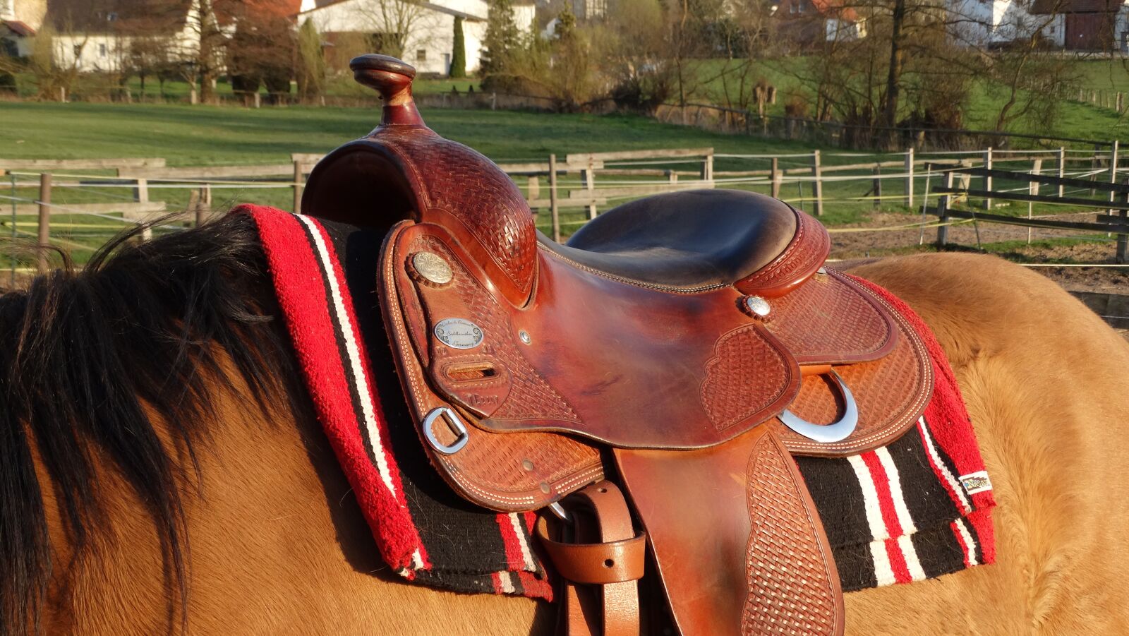 Sony Cyber-shot DSC-HX300 sample photo. Saddle, cowboy, western photography