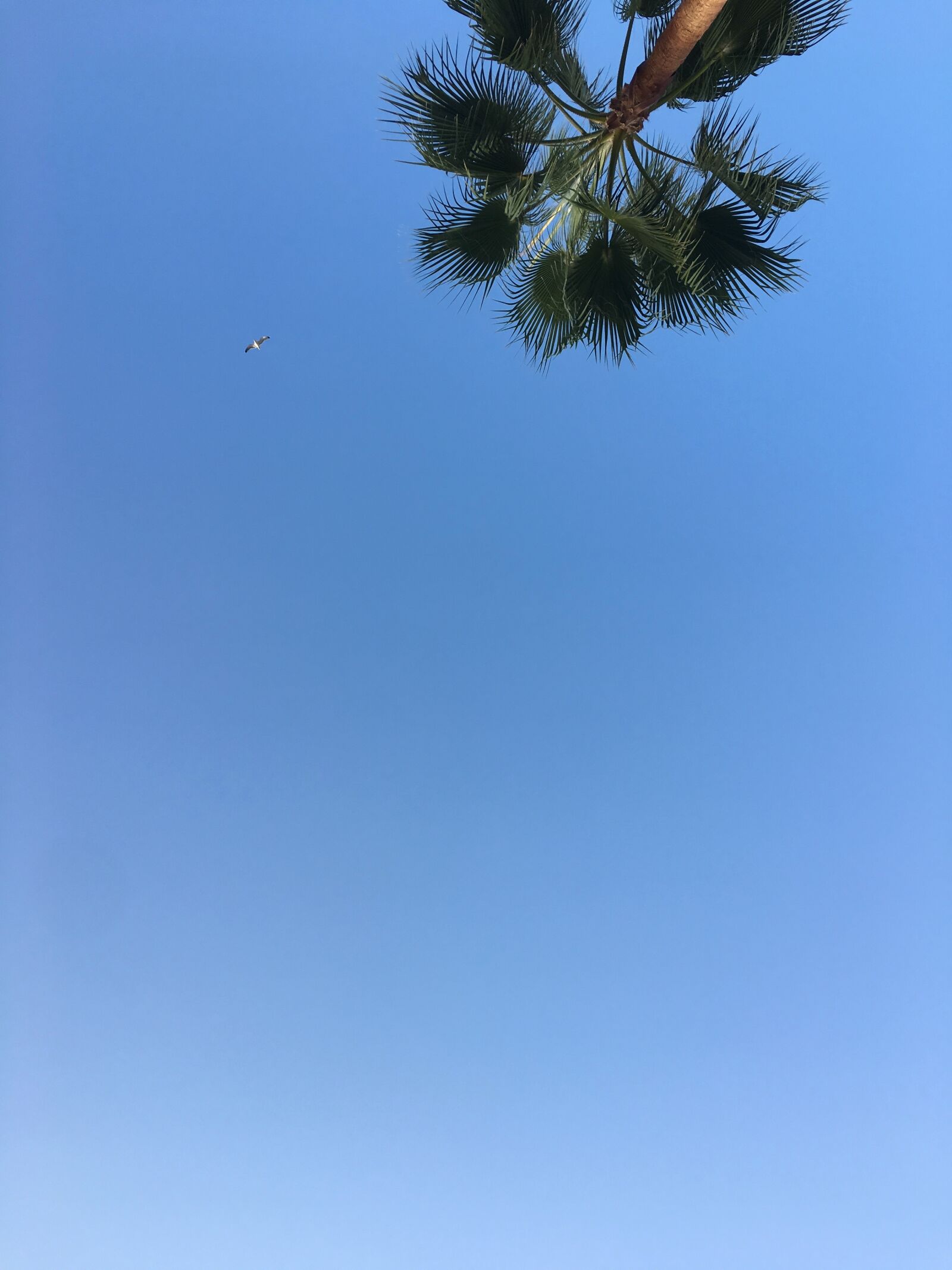Apple iPhone 6s sample photo. Beach, by, the, sea photography