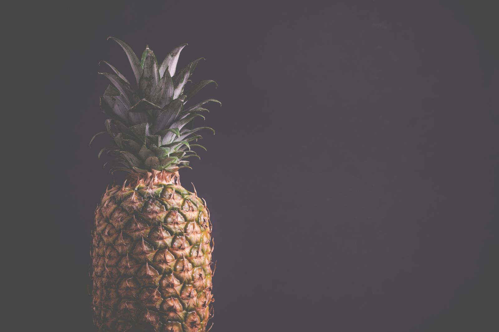 Sony SLT-A58 + 105mm F2.8 sample photo. Pineapple, nature, color photography