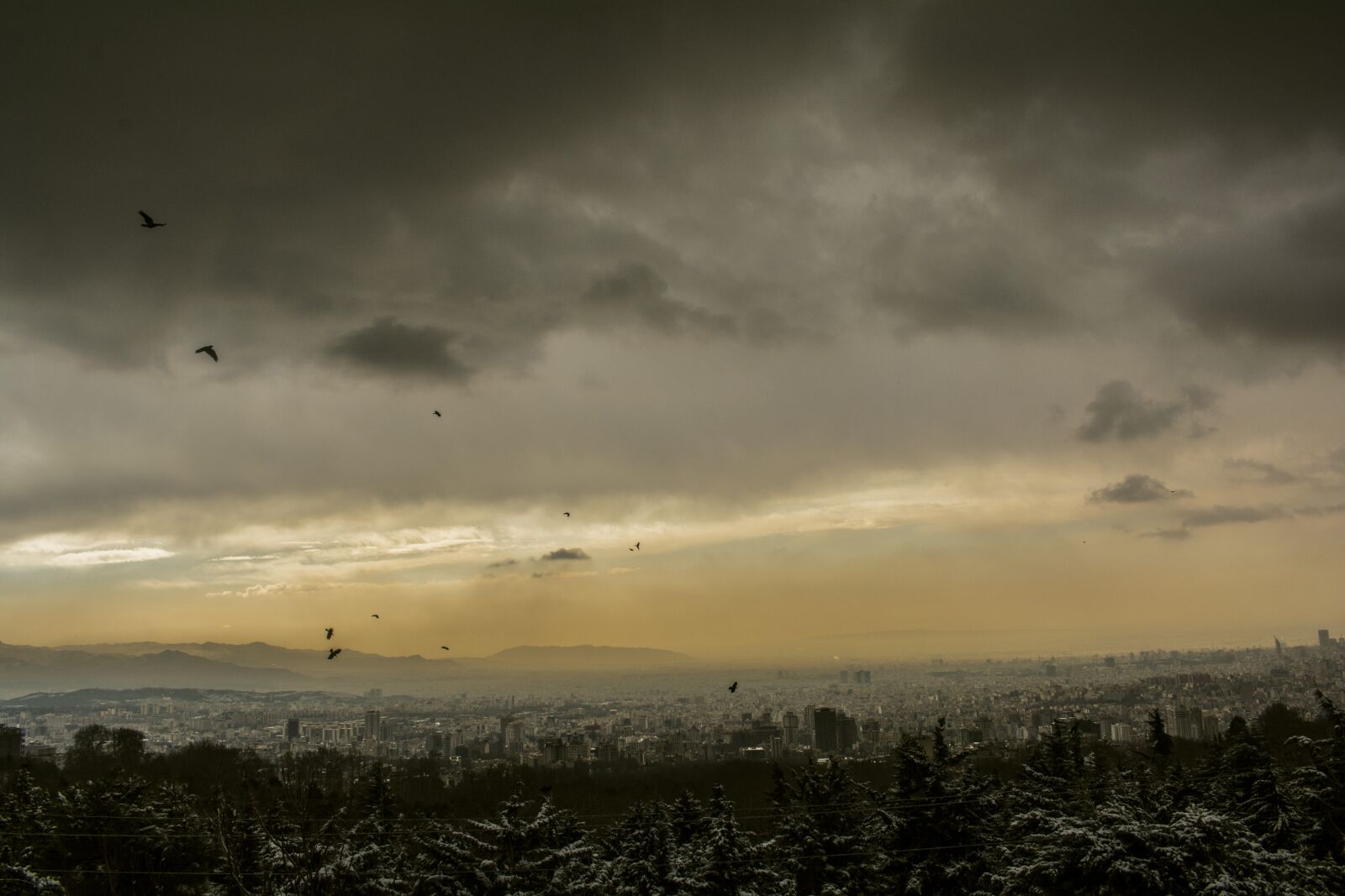 Nikon D5200 sample photo. Sky, sunset, birds photography
