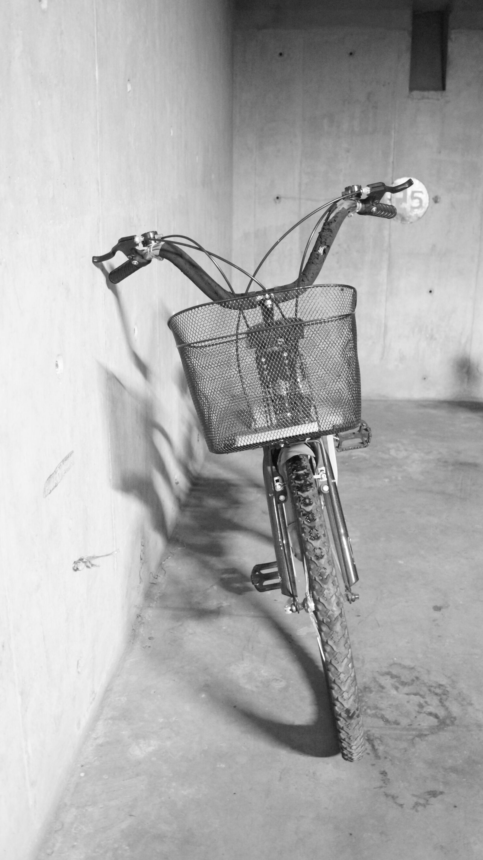 Sony DT 18-55mm F3.5-5.6 SAM II sample photo. Bicycle, traveller, transport photography
