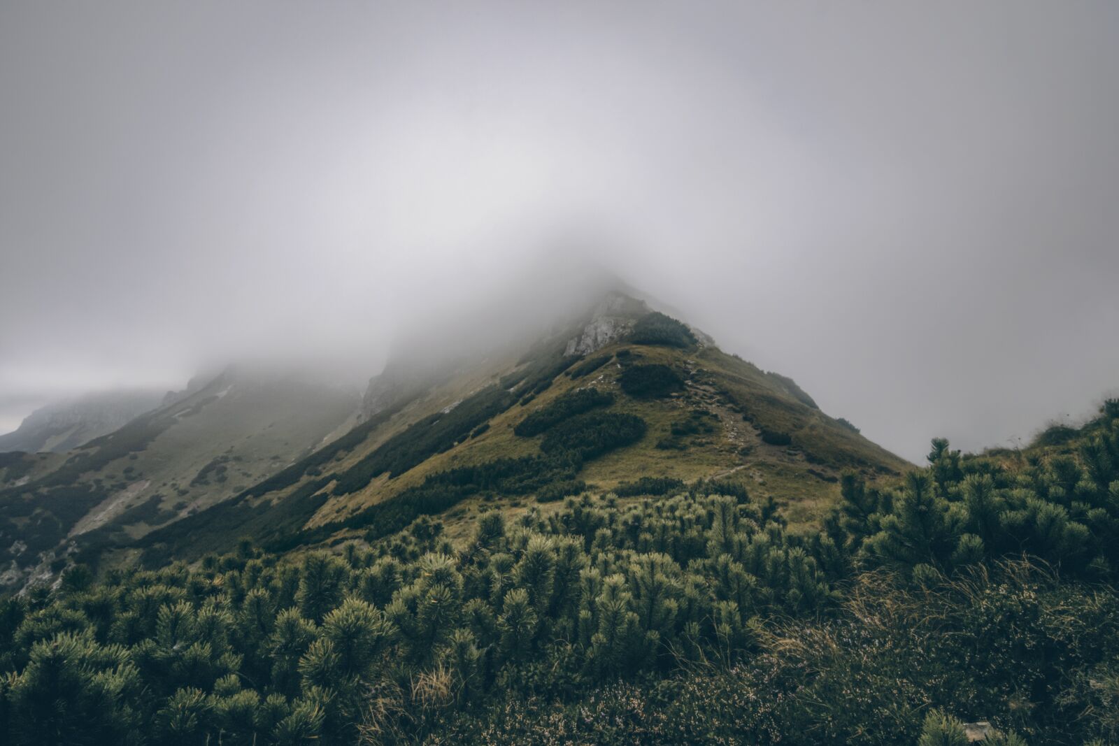 Nikon D3300 sample photo. Slovakia, tatry, nature photography