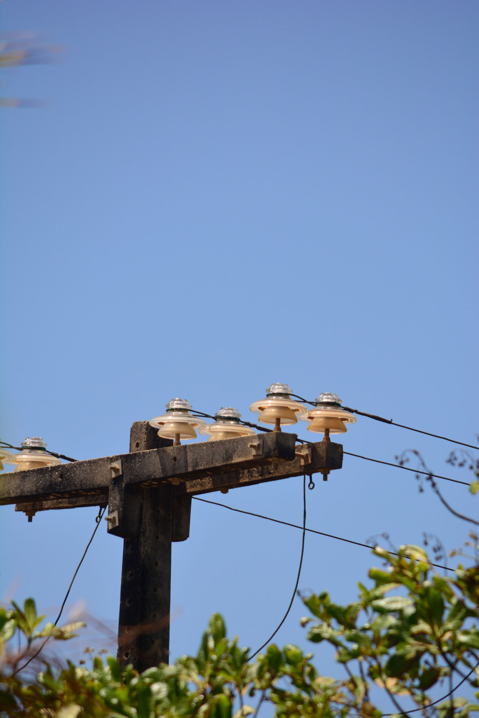 Nikon D5200 sample photo