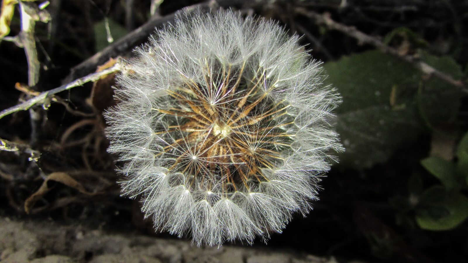 Canon PowerShot SX400 IS sample photo. Cyprus, cavo greko, national photography