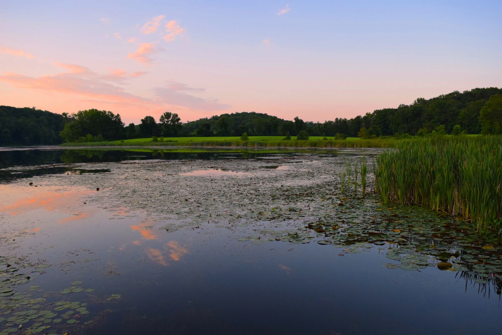 Nikon D3300 sample photo. Sunset, pond, grass photography