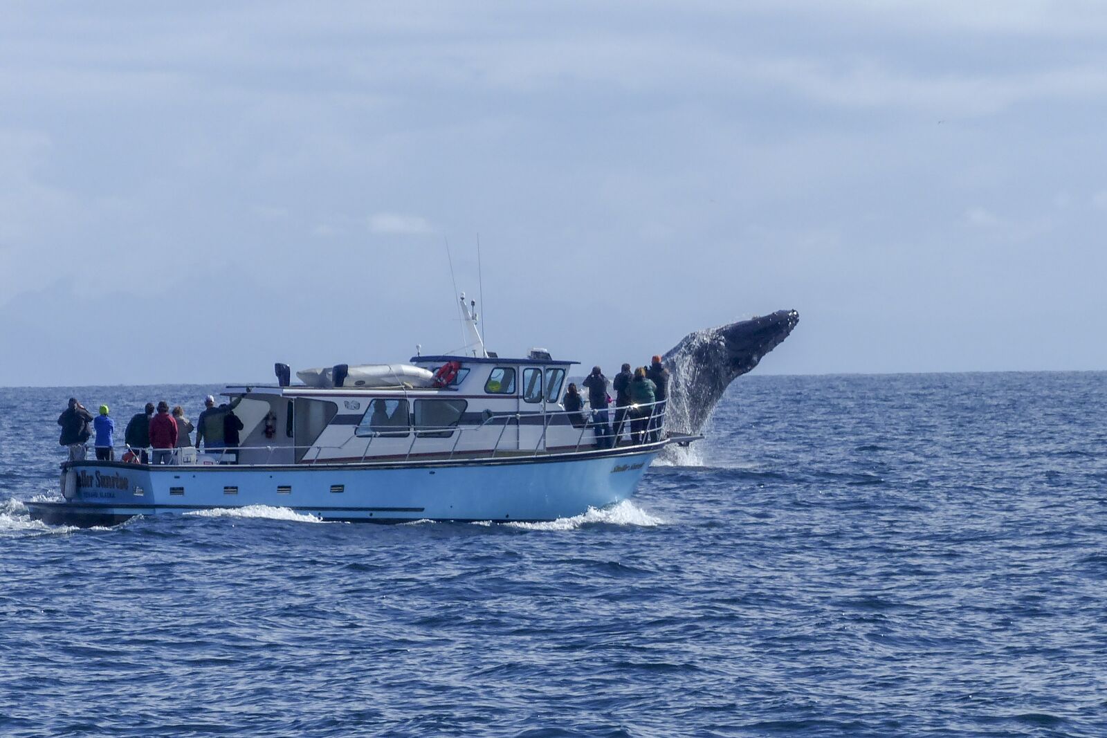 Panasonic Lumix DMC-FZ200 sample photo. Humpback whale, jumping, animal photography