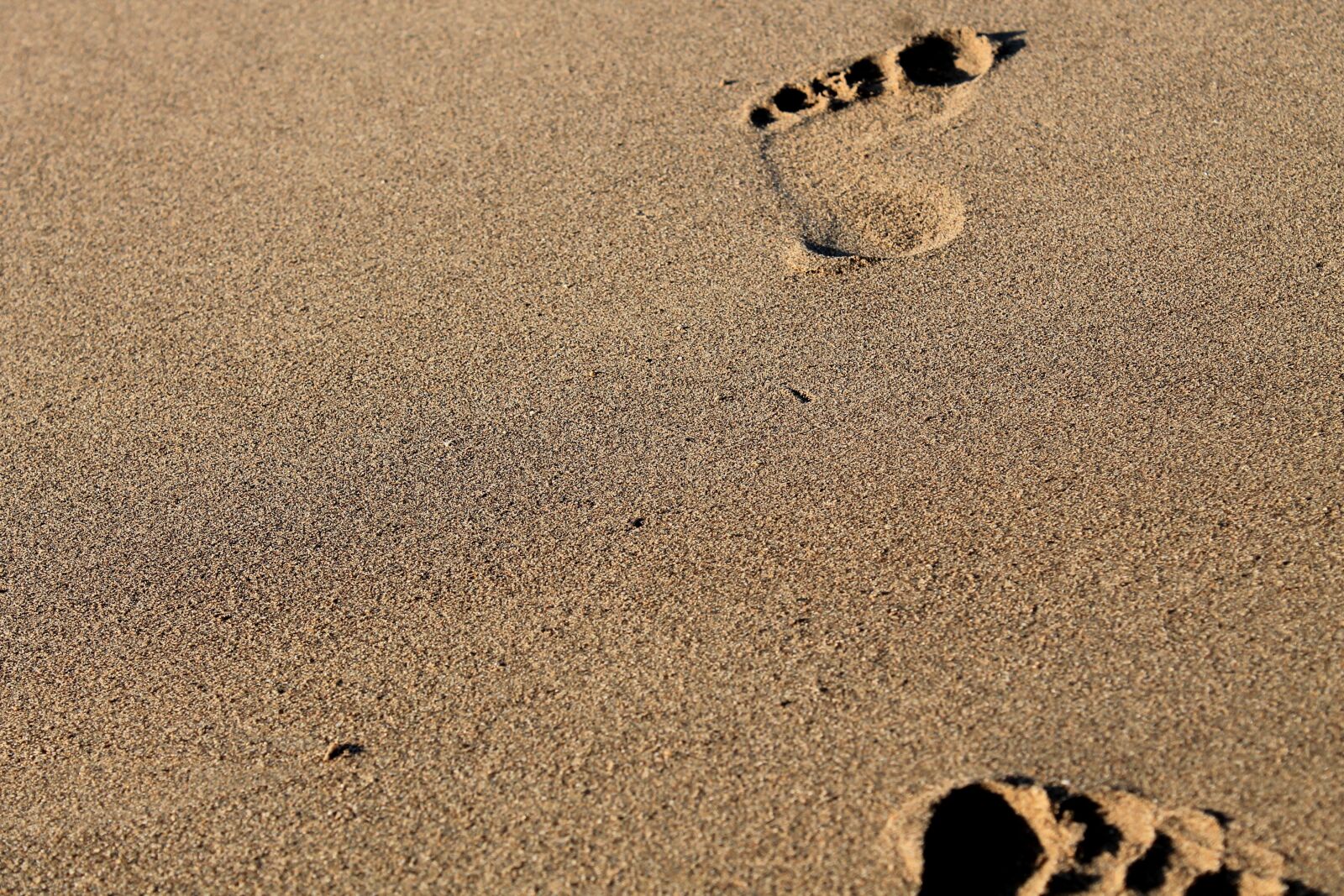 Canon EOS 1100D (EOS Rebel T3 / EOS Kiss X50) + Canon EF-S 18-55mm F3.5-5.6 IS II sample photo. Footprints, sand, footprints in photography