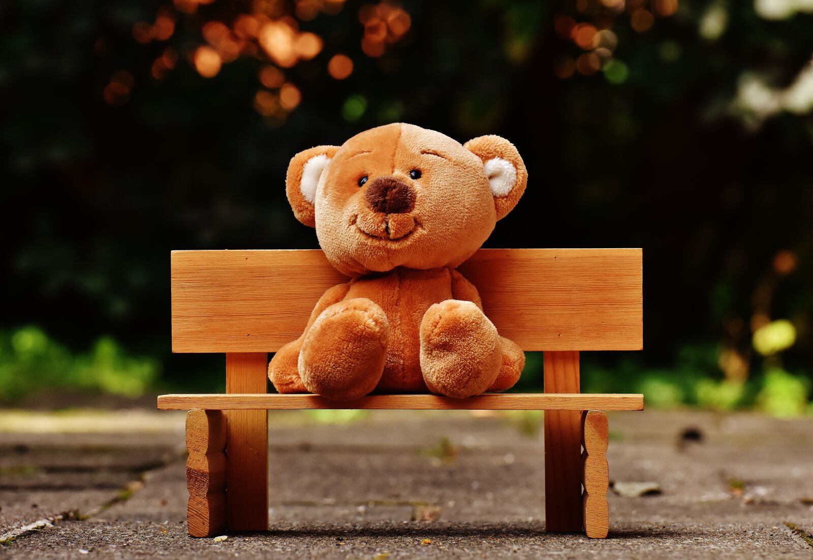 Nikon D7200 sample photo. Teddy, bank, sit photography