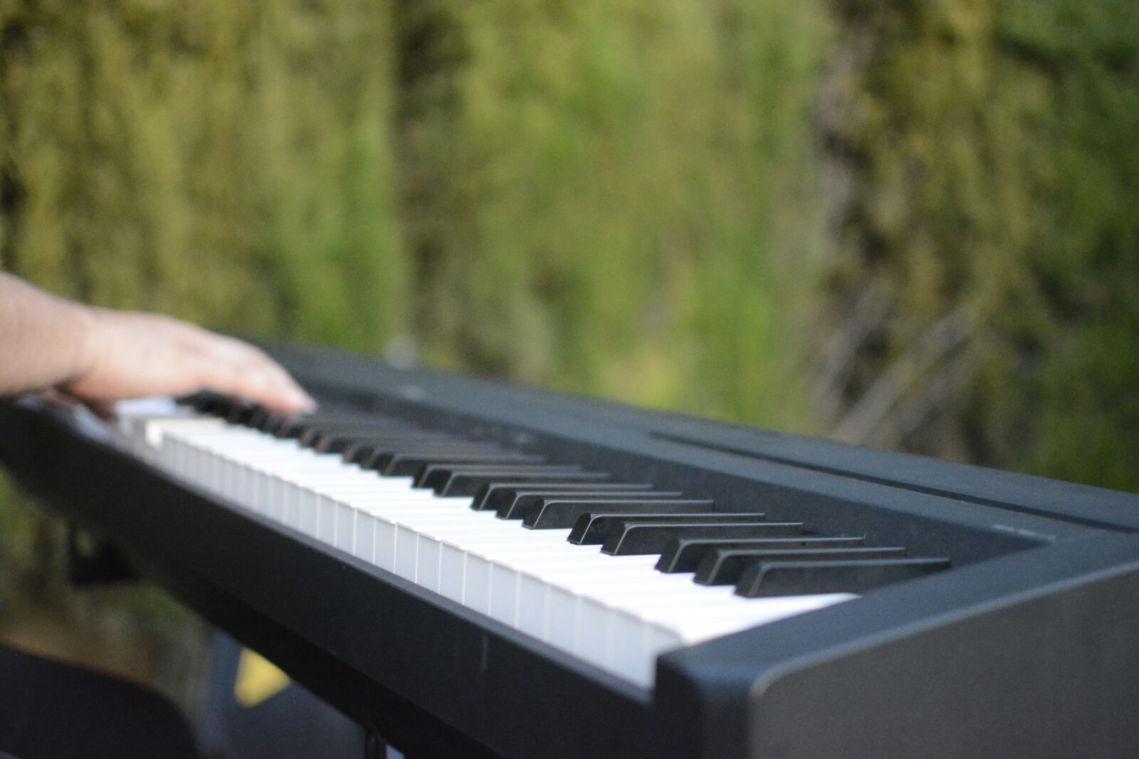 Nikon D5200 sample photo. Battery, instrument, music photography