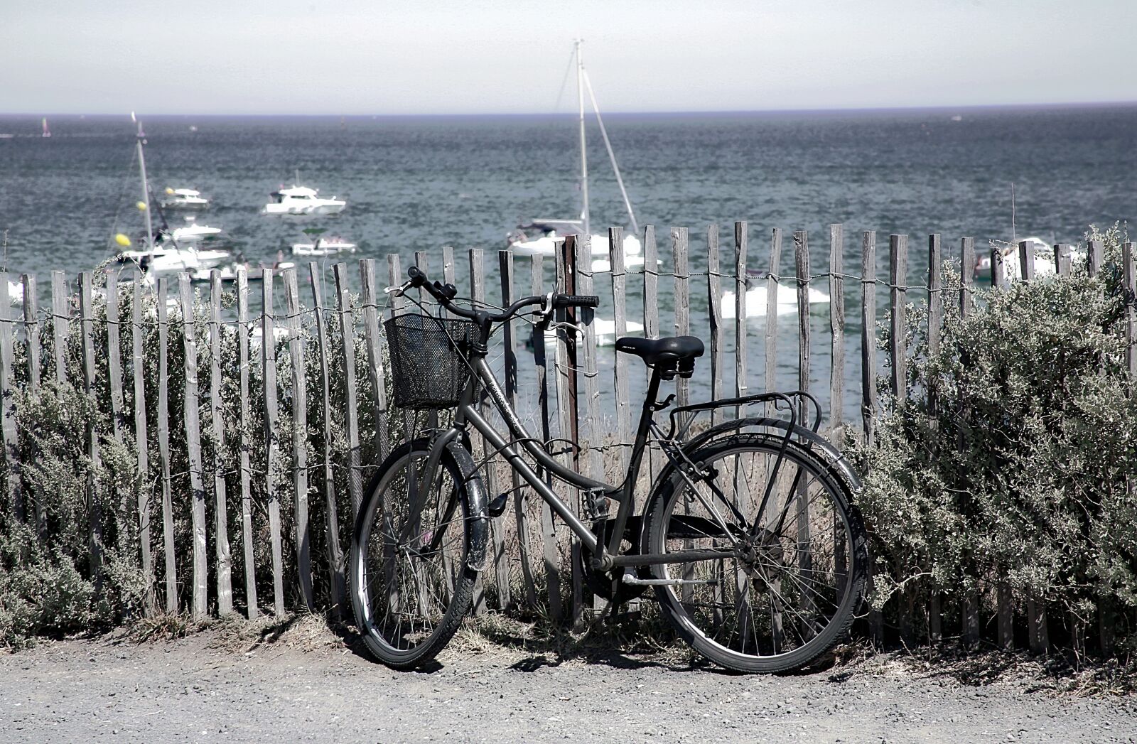 Canon EOS 5D Mark III sample photo. Beach, bike, holiday photography