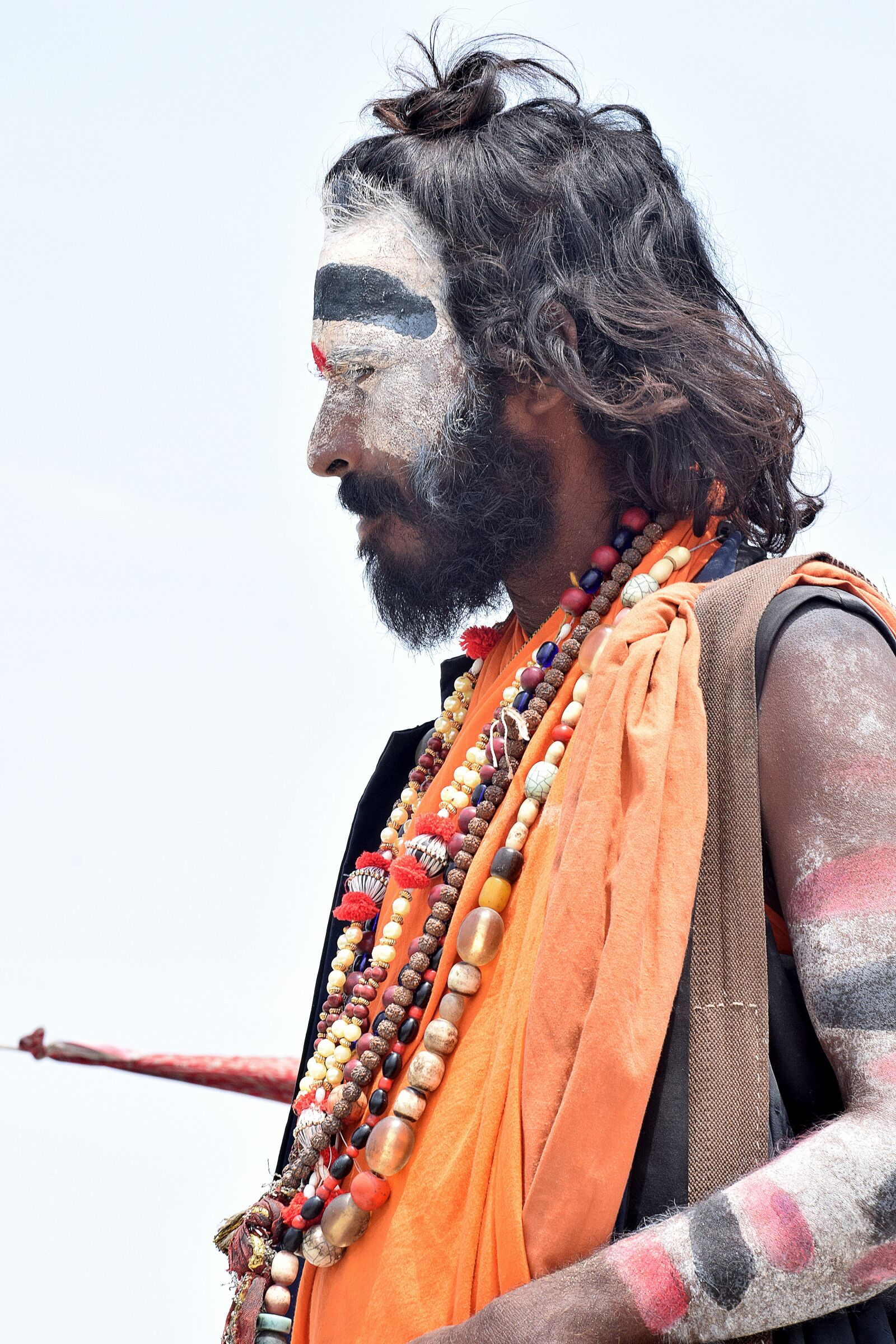 Nikon D3300 sample photo. Portrait, sadhu, religion photography