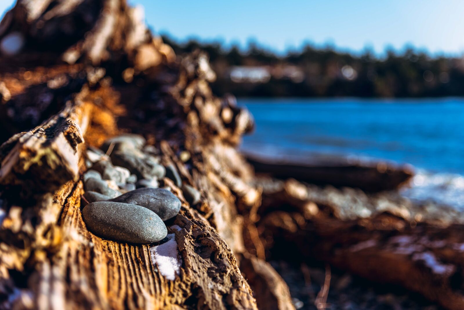 Nikon D750 sample photo. Rocks, ocean, landscape photography