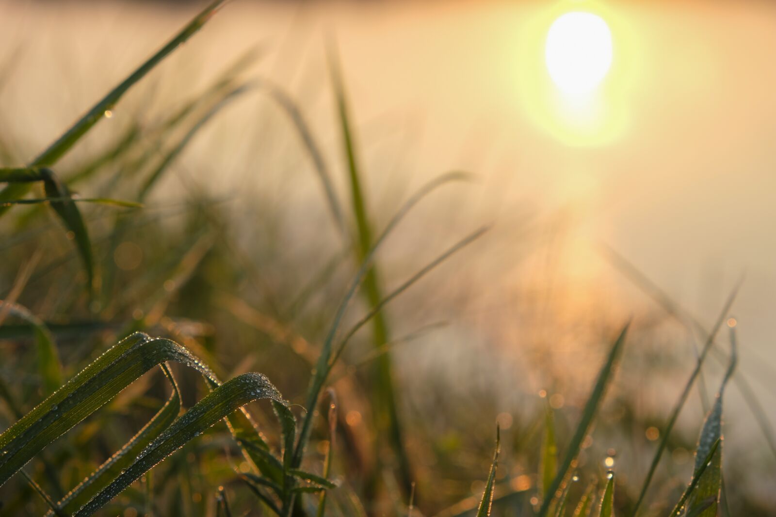 Fujifilm X-T20 sample photo. Dawn, morning, sun photography