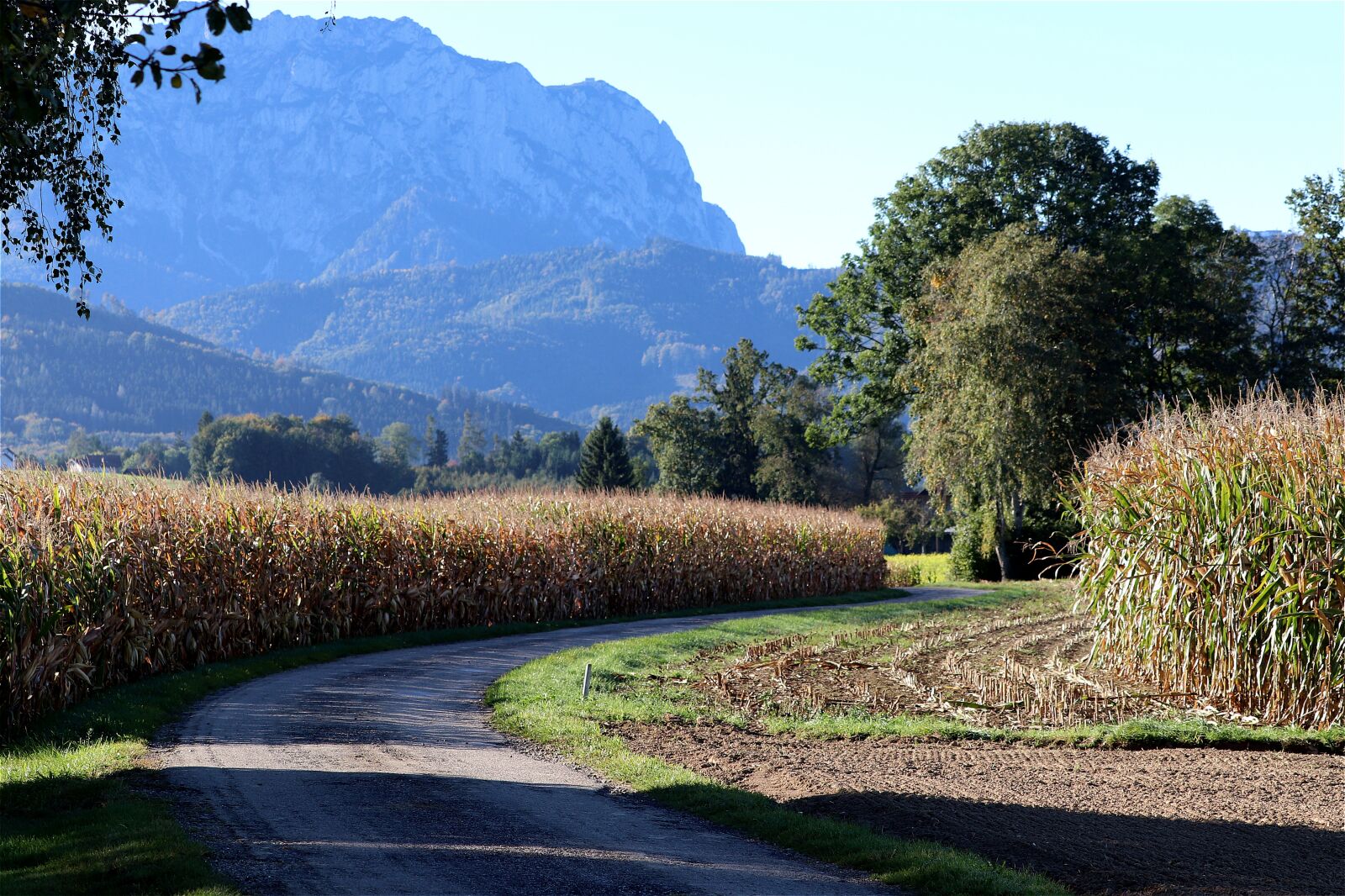 Canon EF 70-300 F4-5.6 IS II USM sample photo. Cornfield, landscape, rural photography