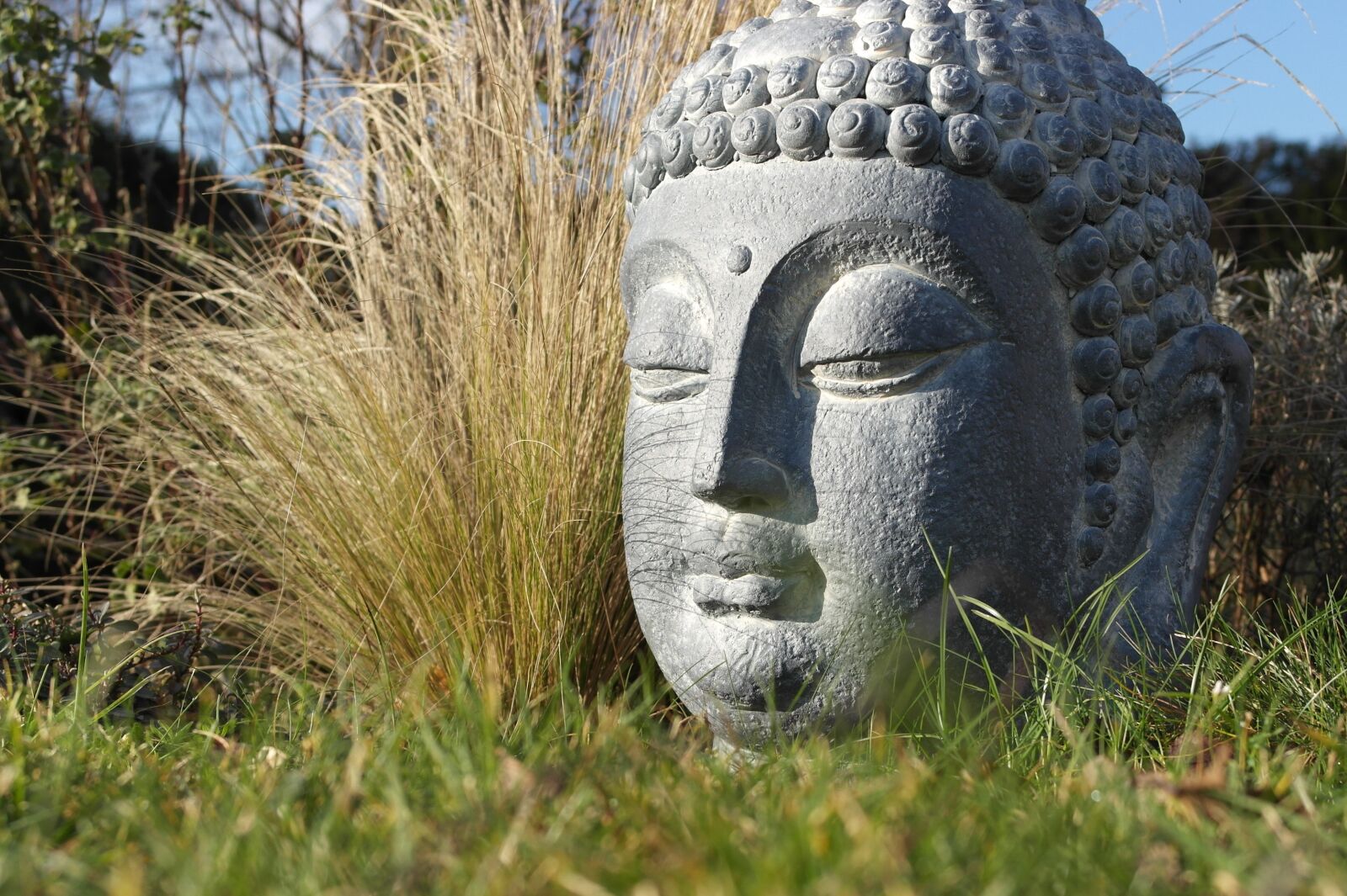 Samsung NX1000 sample photo. Buddha, zen, meditation photography