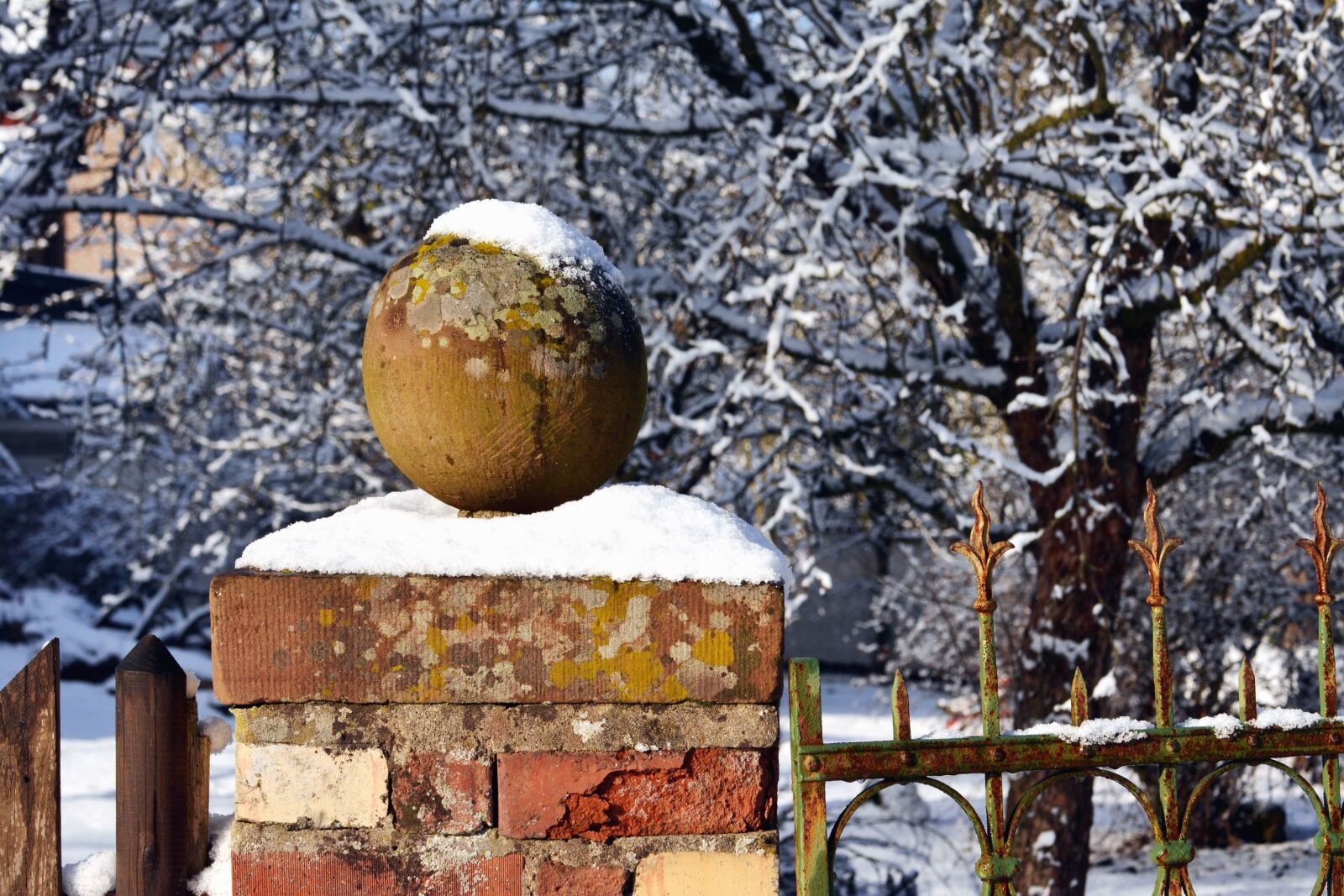 Nikon D5200 sample photo. Tree, winter, snow, fence photography