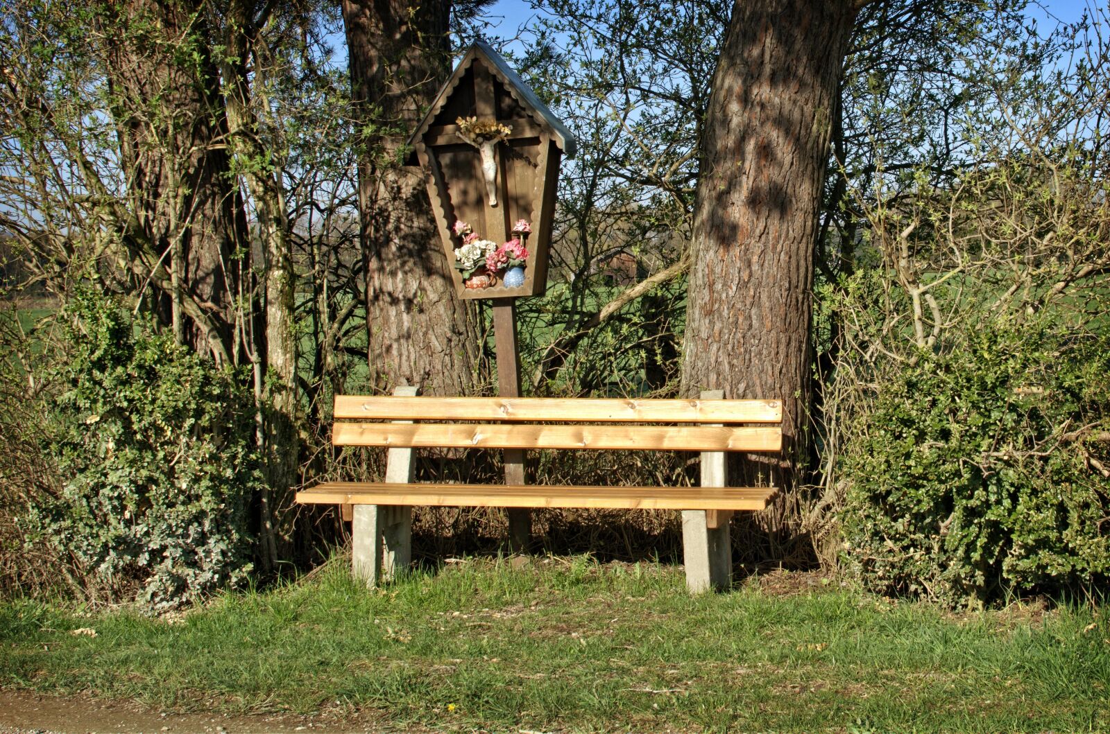 Nikon D7100 sample photo. Bench, bank, seat photography
