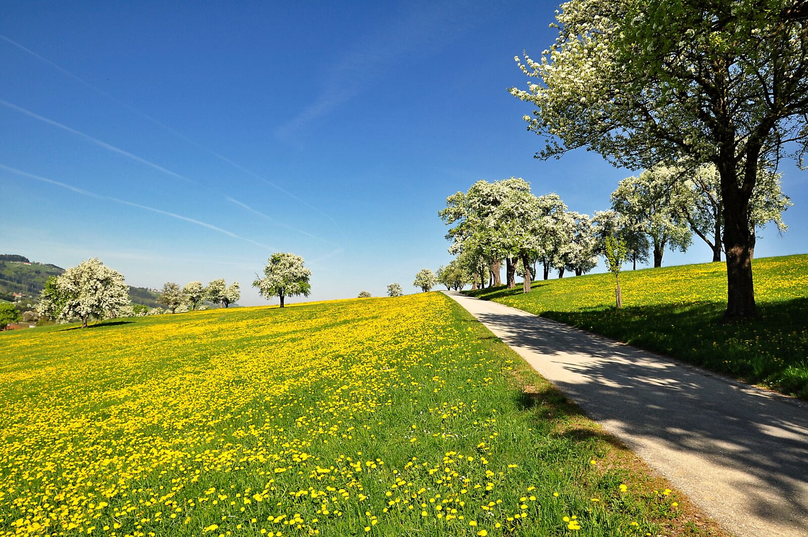 Nikon D90 sample photo. Nature, landscape, spring photography